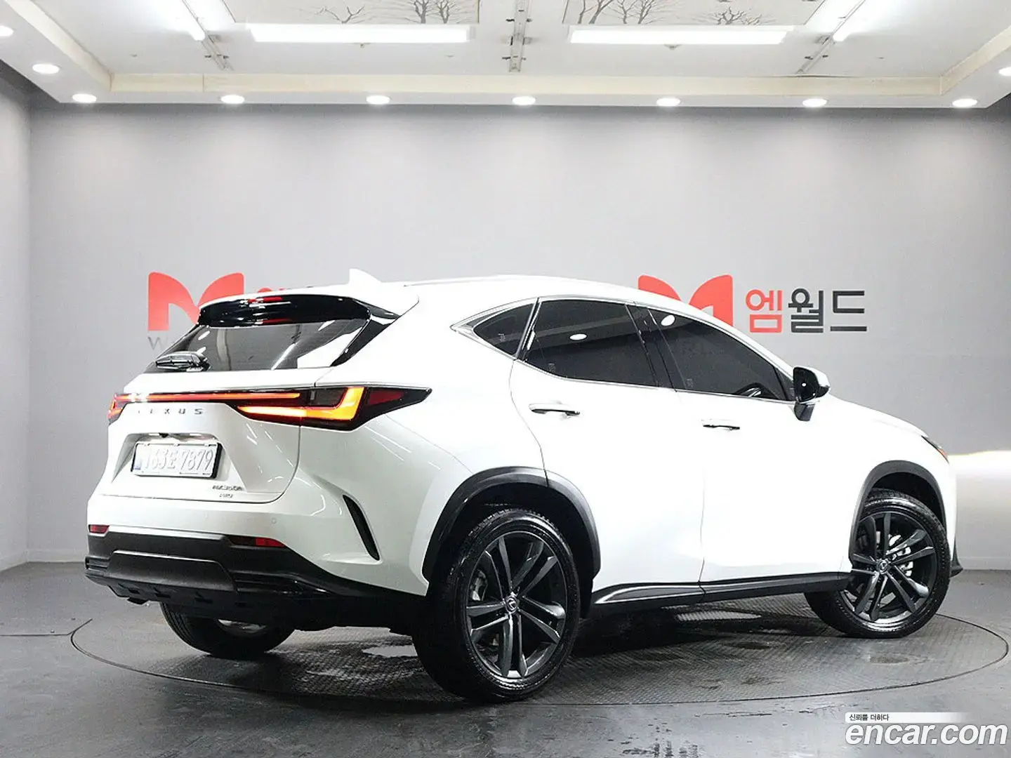 Main__Slider__Photo:NX Lexus 2025.6-1