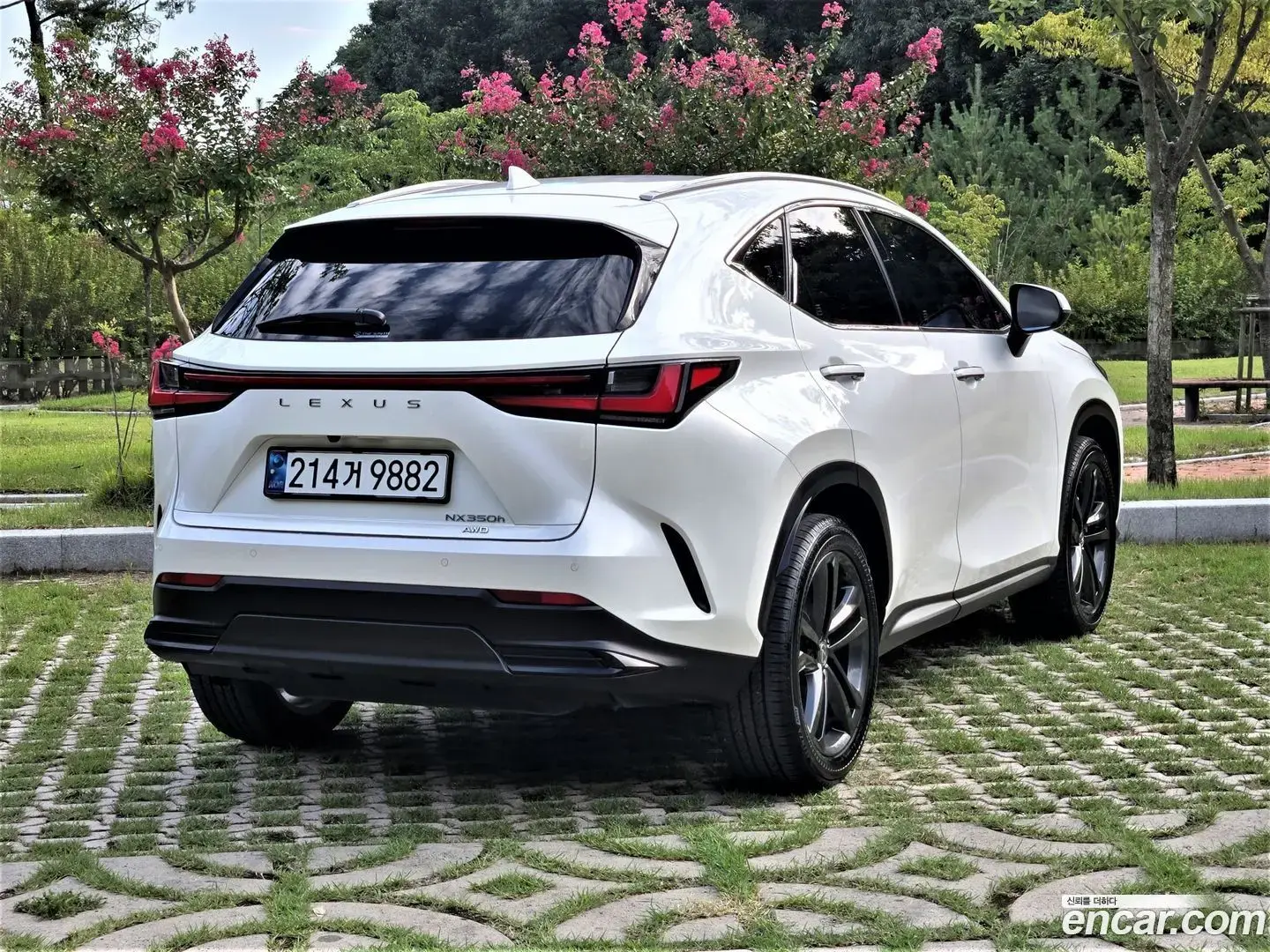 Main__Slider__Photo:NX Lexus 2025.2-1