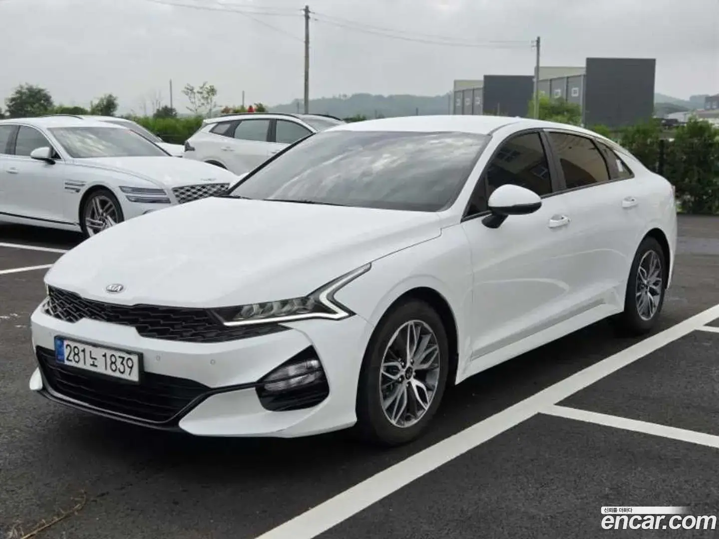 Main__Slider__Photo:K5 Kia 2020.10-1