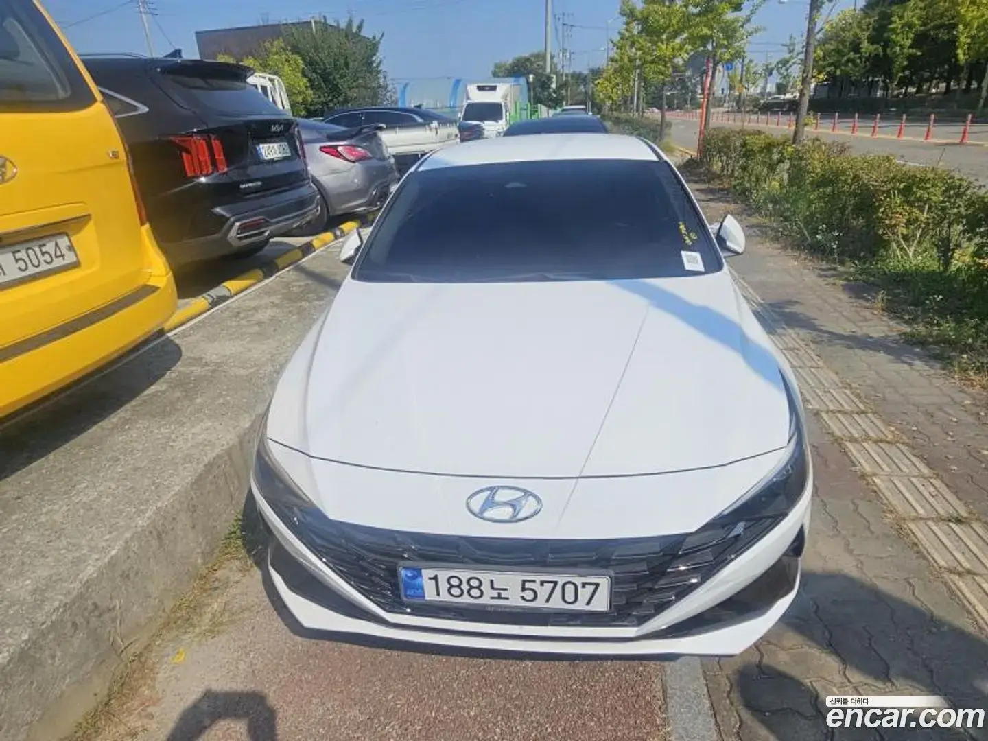 Main__Slider__Photo:AVANTE Hyundai 2021.8-1
