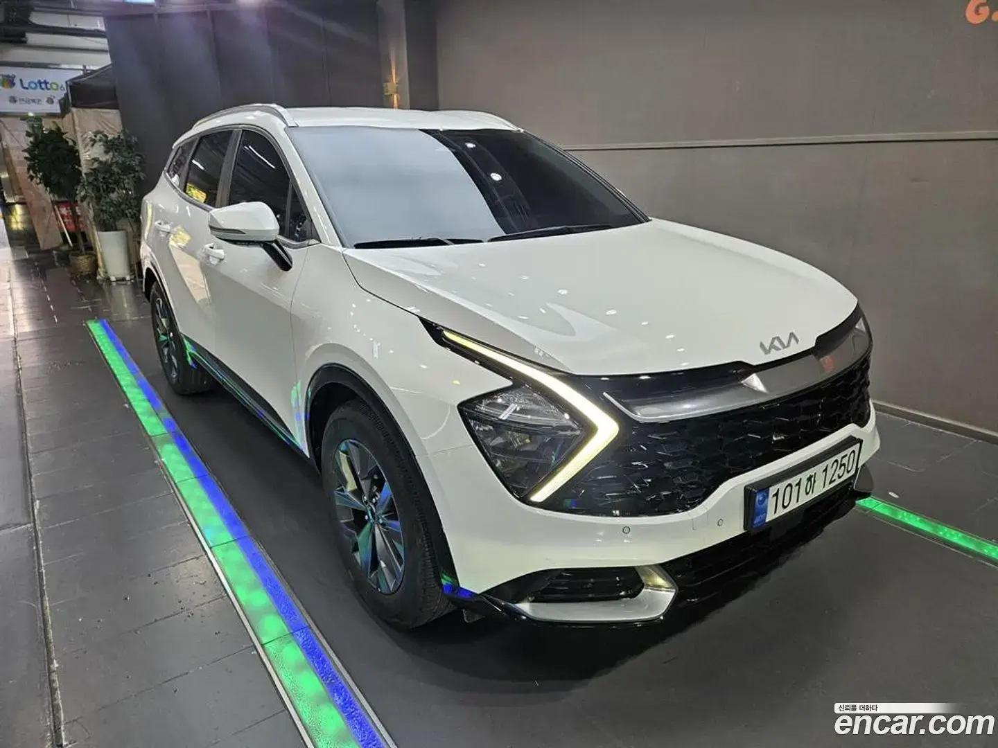Main__Slider__Photo:Sportage Kia 2022.9-1