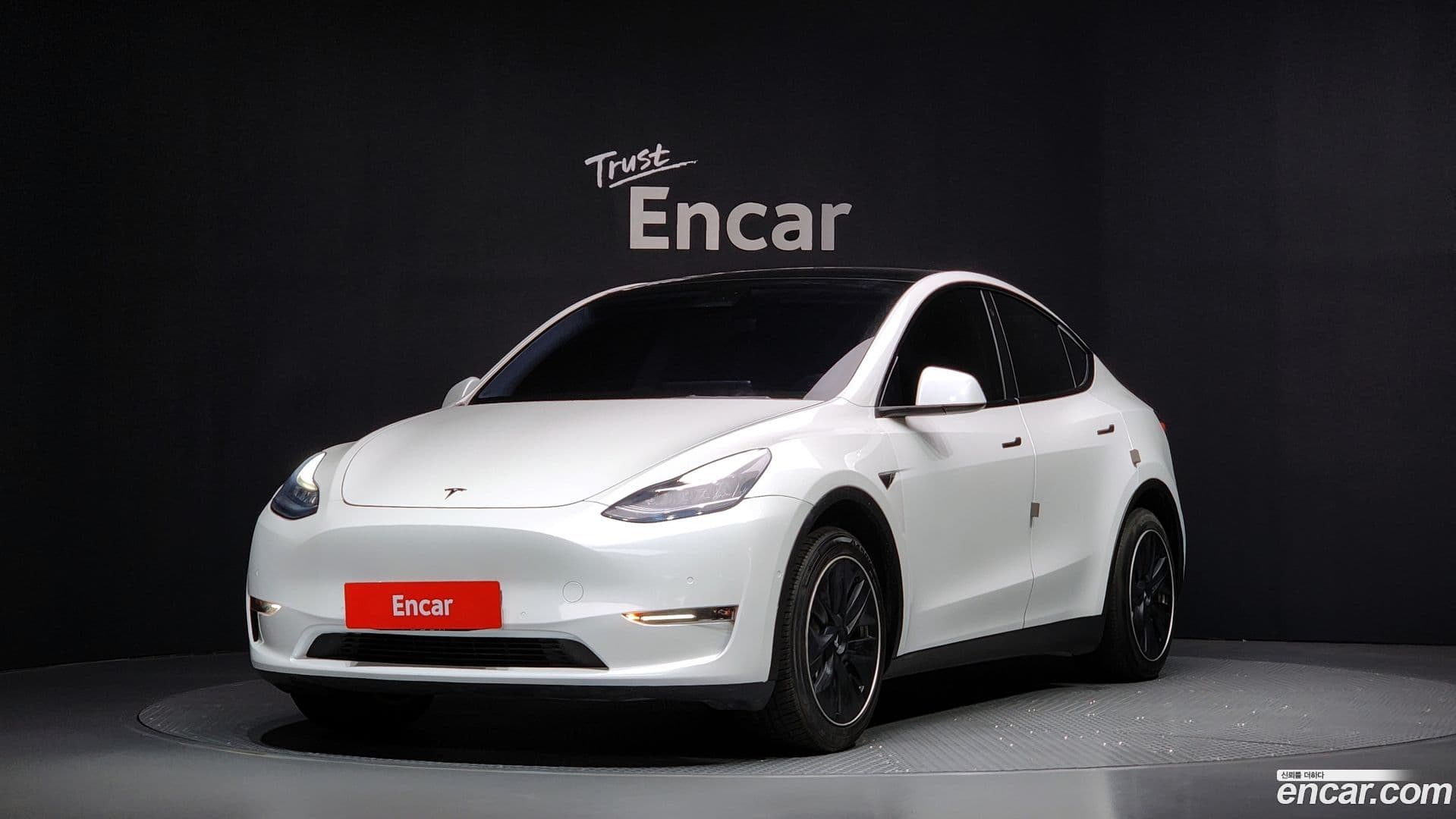 Main__Slider__Photo:Model Y Tesla 2021.5-0