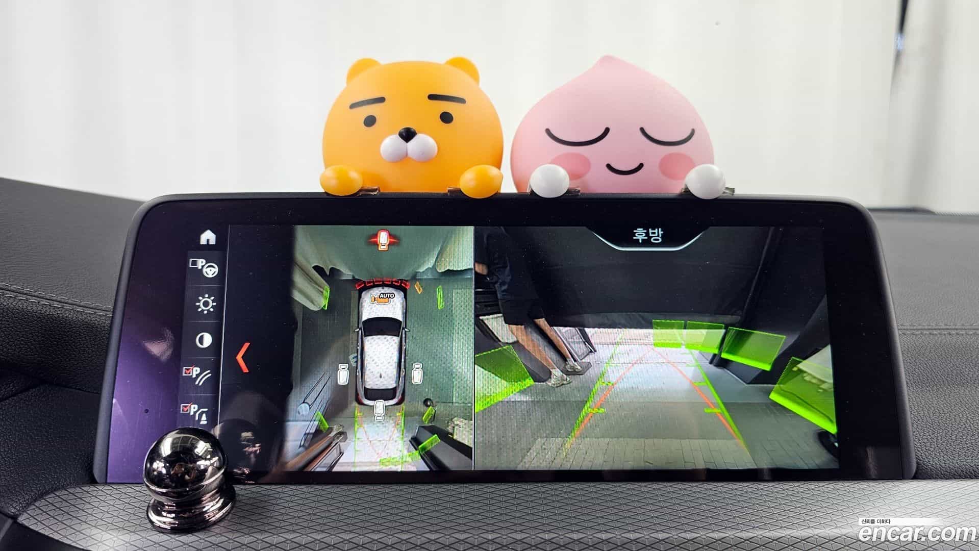 X4 BMW 2019.1-OPTION-019