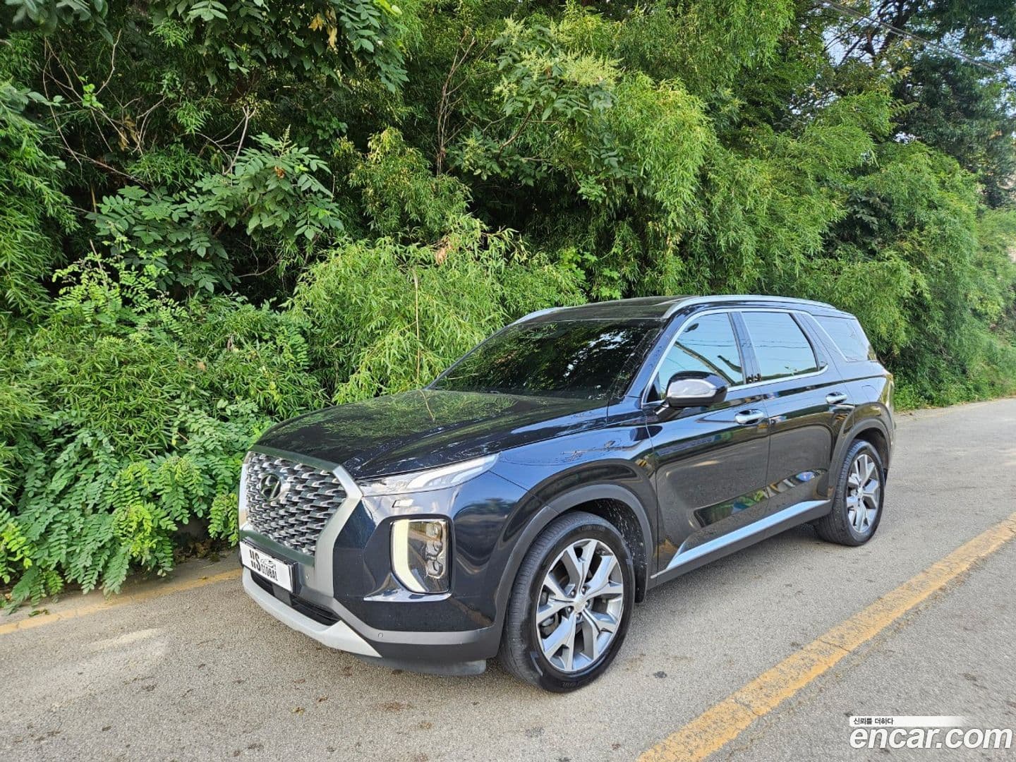 Main__Slider__Photo:Palisade Hyundai 2020.6-0