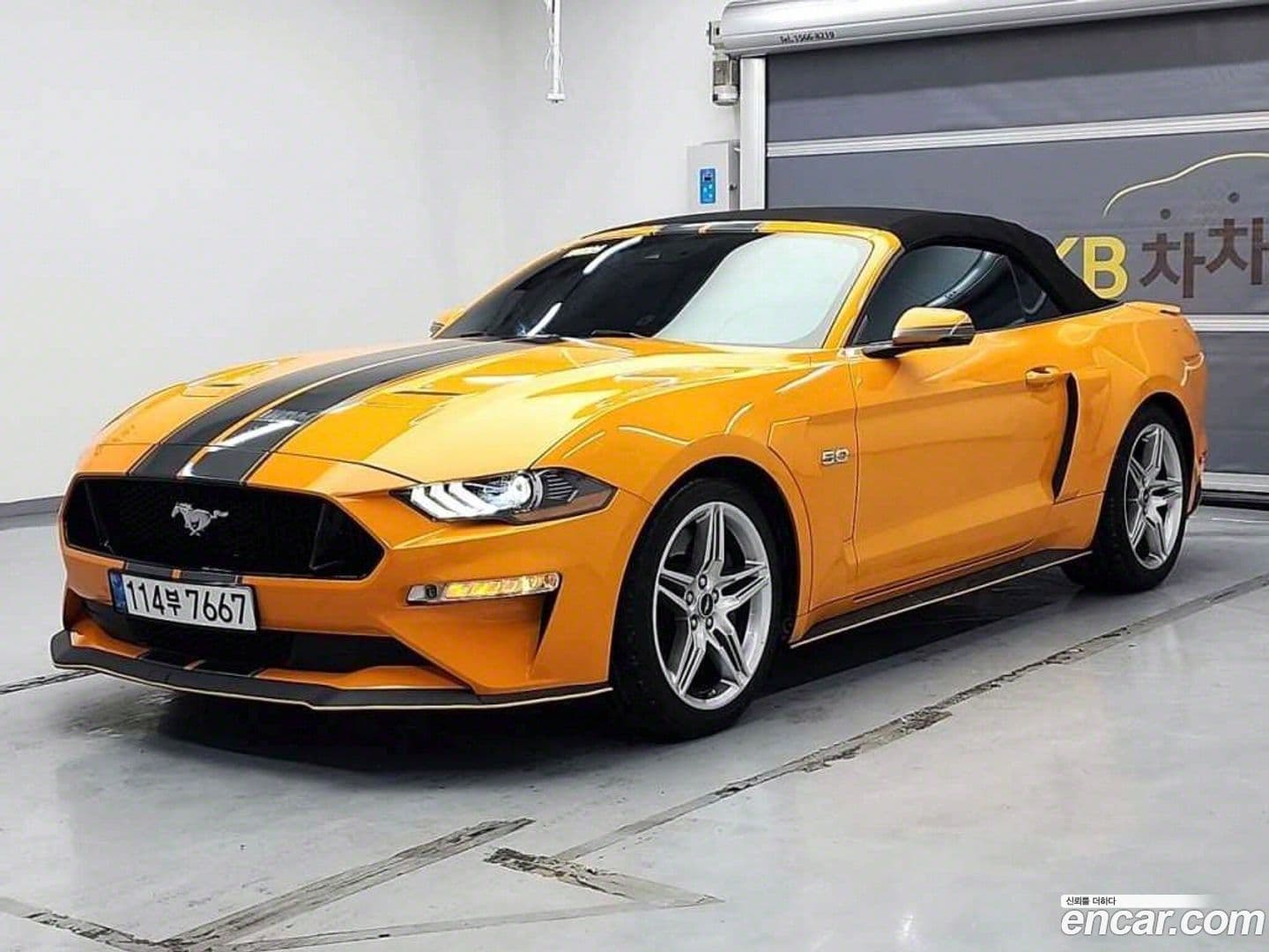 Main__Slider__Photo:Mustang Ford 2019.4-0