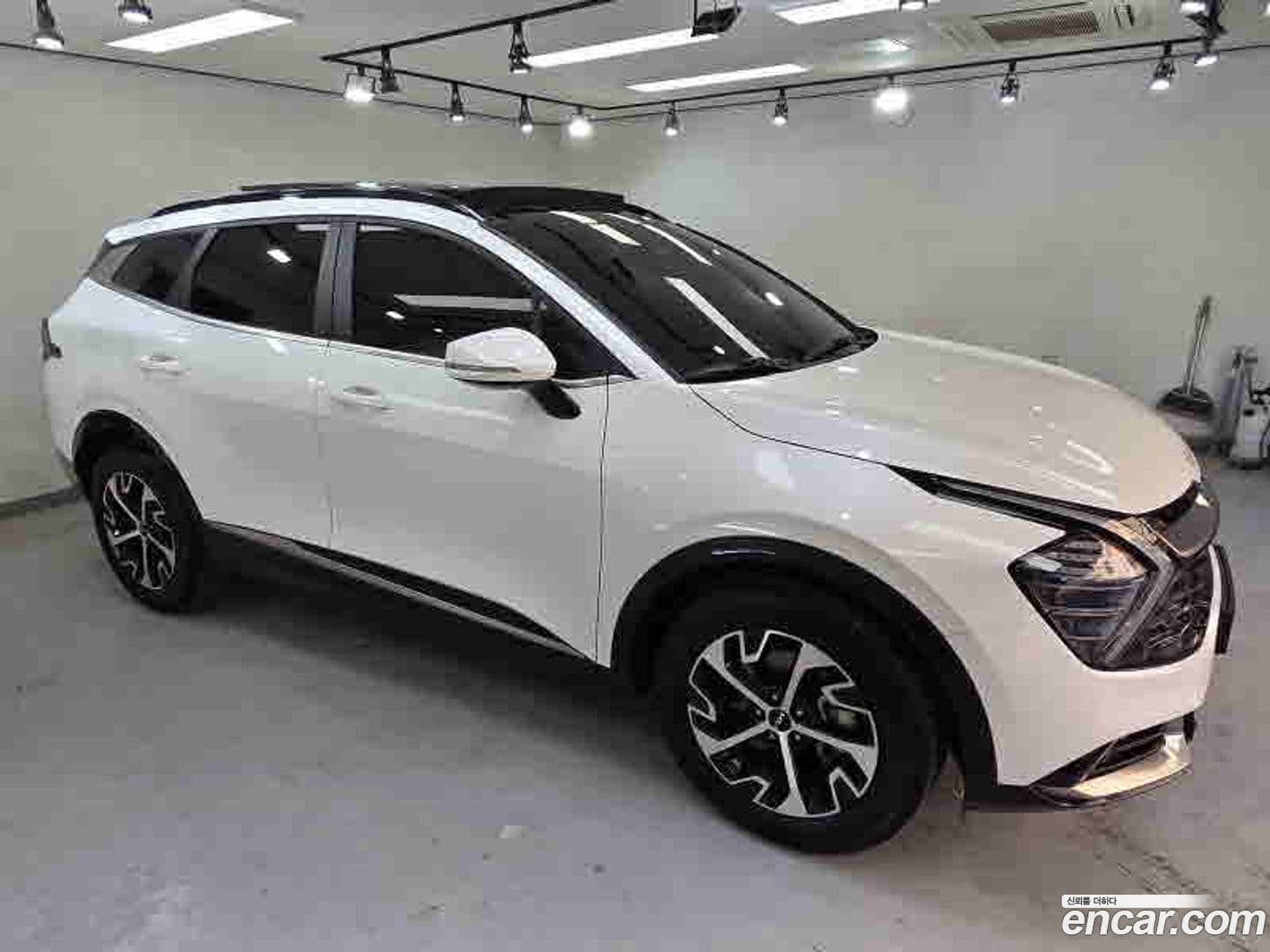 Main__Slider__Photo:Sportage Kia 2021.11-0