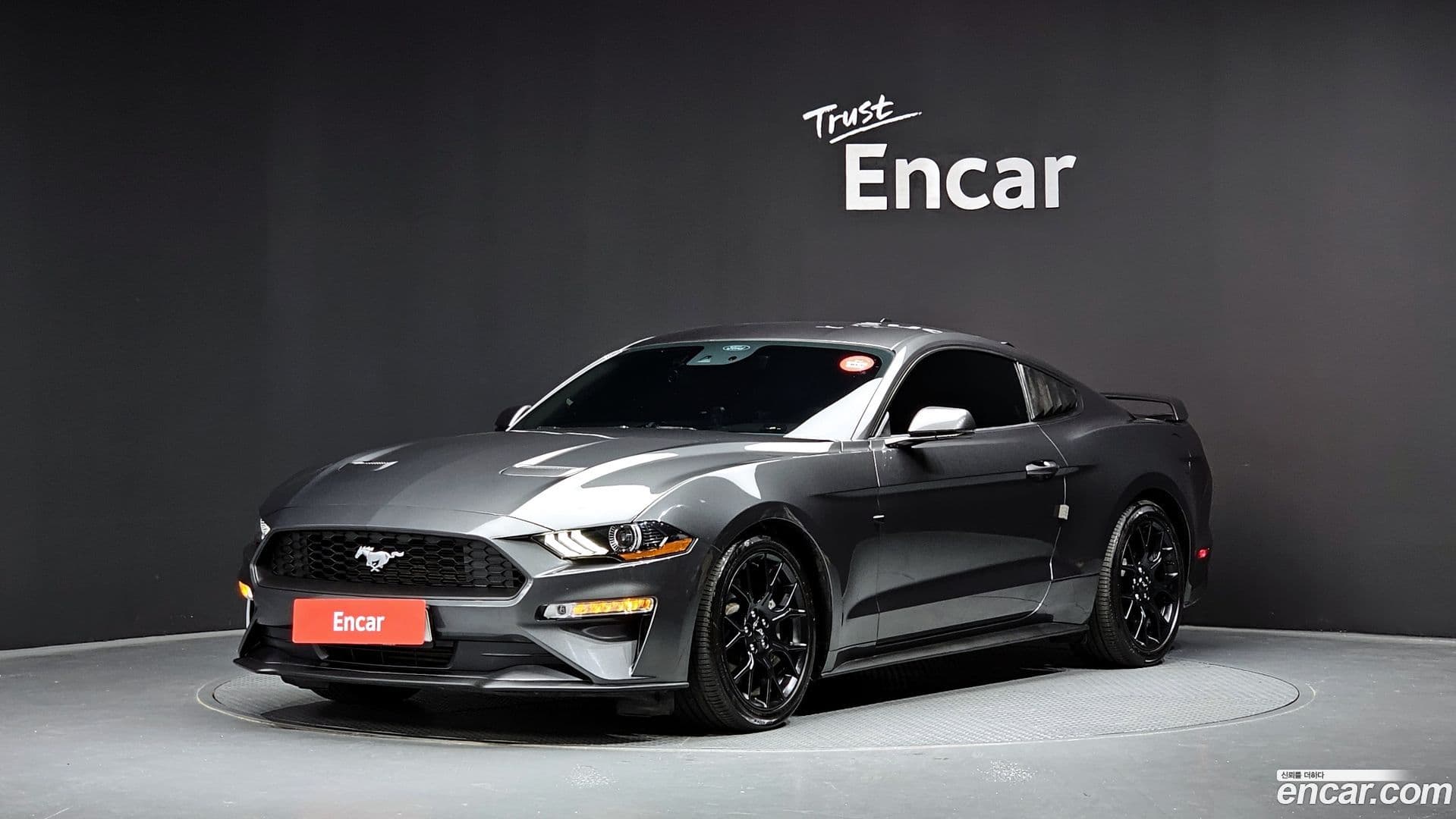 Main__Slider__Photo:Mustang Ford 2020.8-0