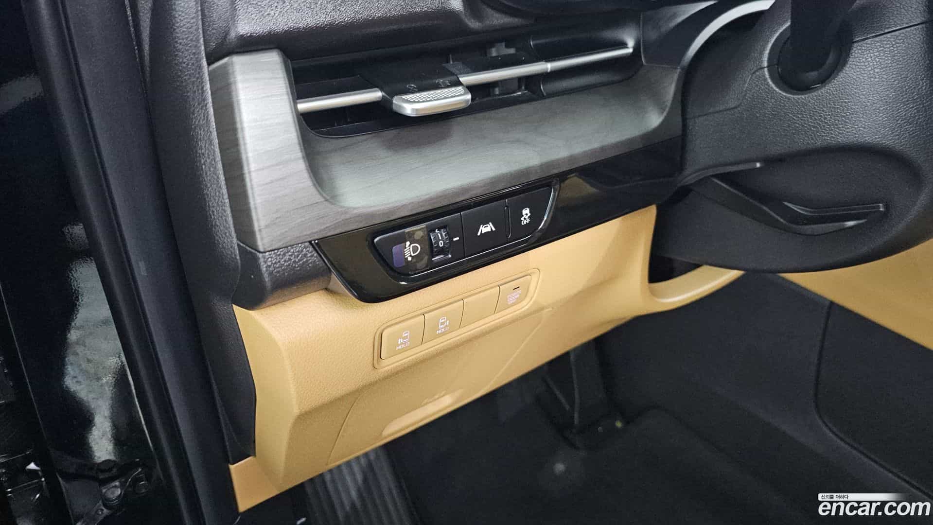 Canival Kia 2021.8-OPTION-020