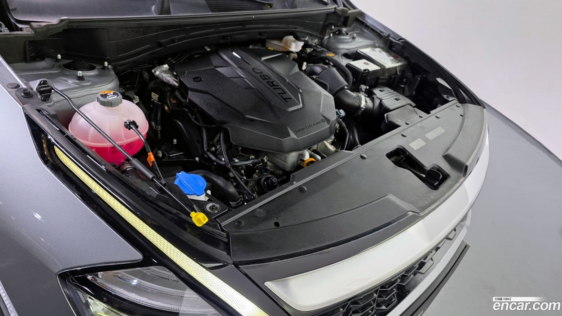 Main__Slider__Photo:Sportage Kia 2022.10-5
