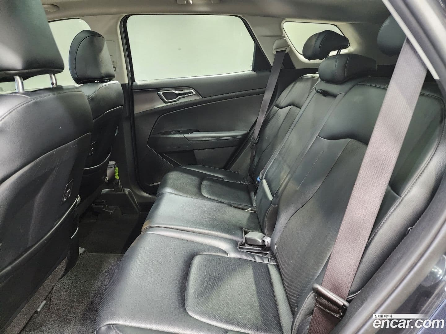 Main__Slider__Photo:Sportage Kia 2021.10-13