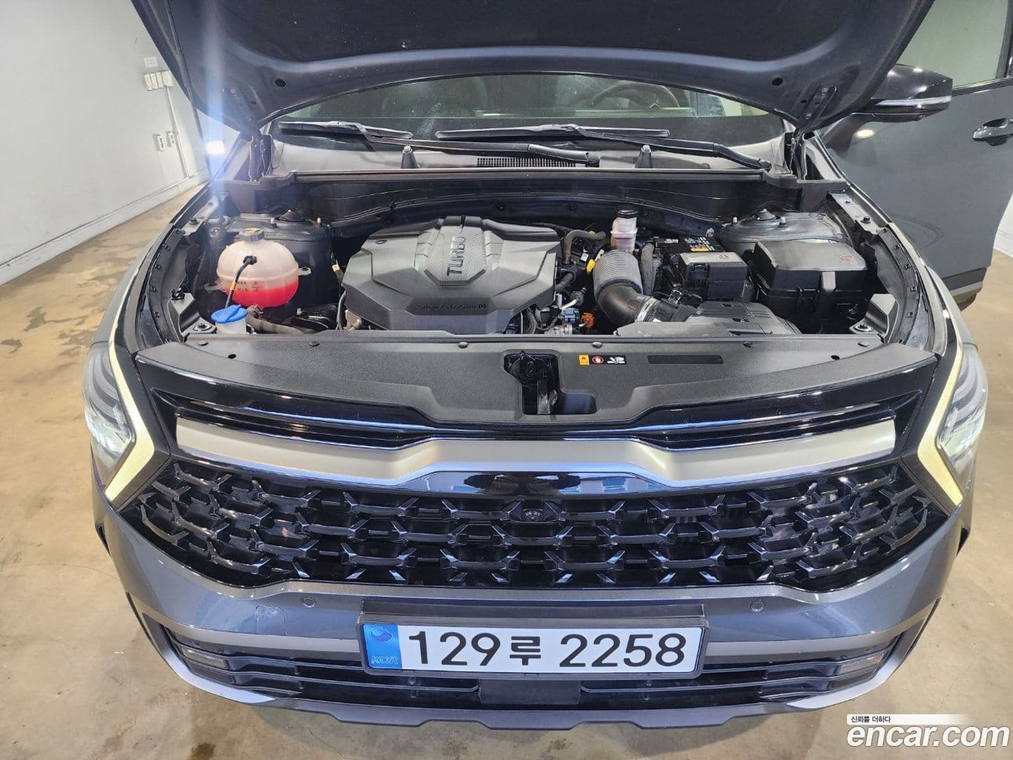 Main__Slider__Photo:Sportage Kia 2021.10-18