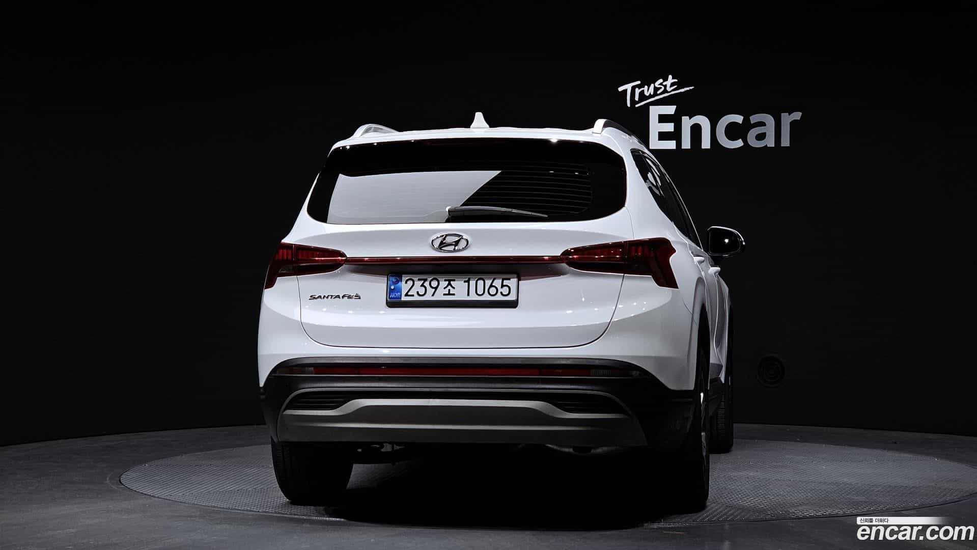 Santafe Hyundai 2020.8-OUTER-004