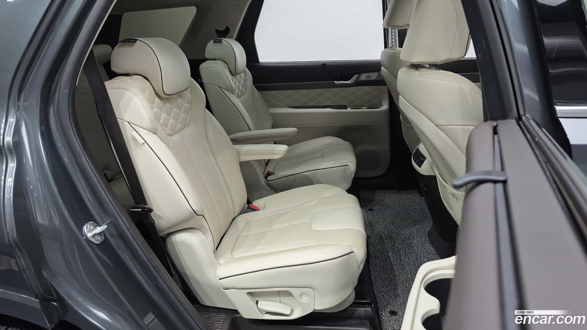 Palisade Hyundai 2020.6-OPTION-016
