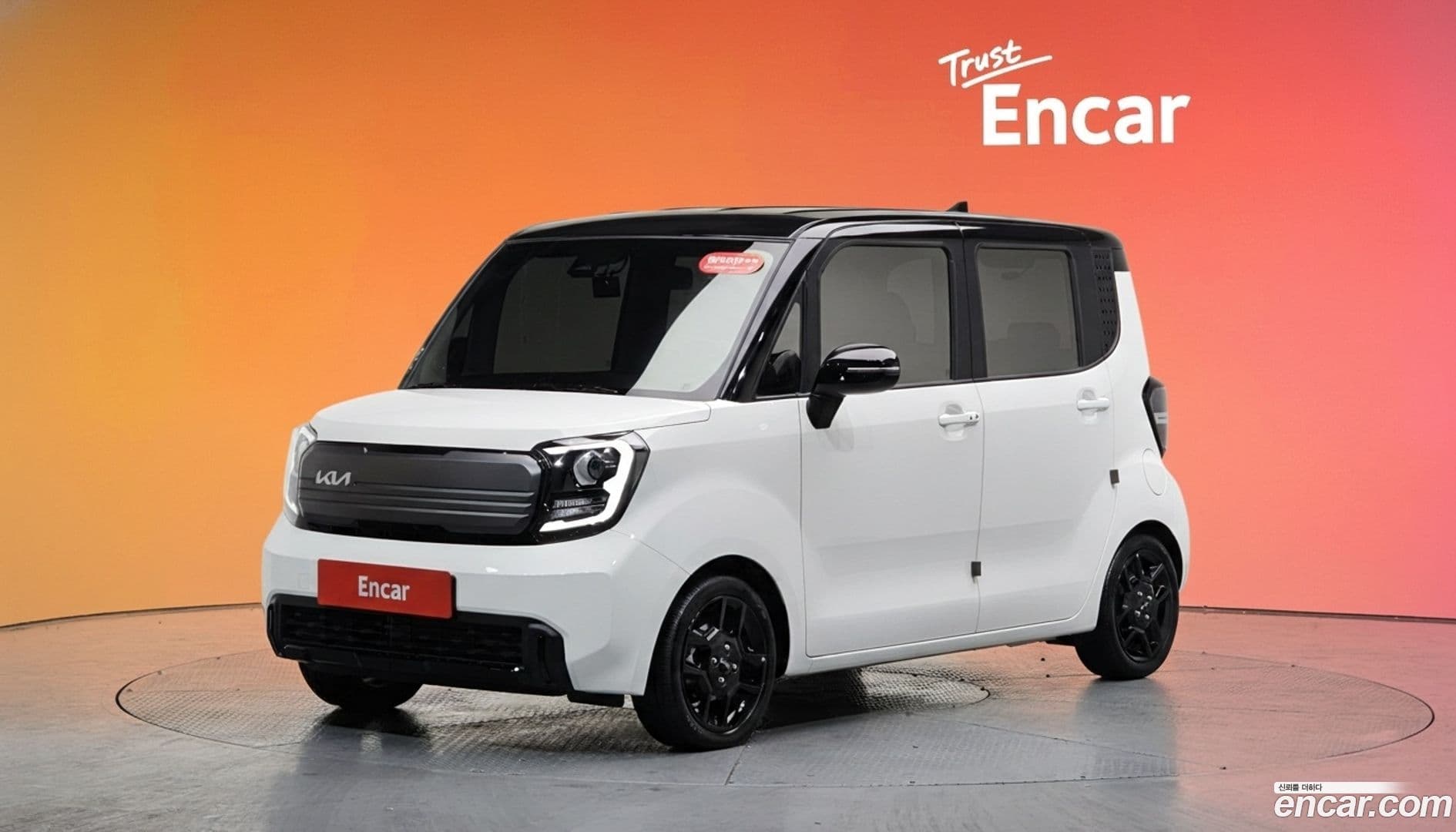 Main__Slider__Photo:RAY Kia 2024.11-0