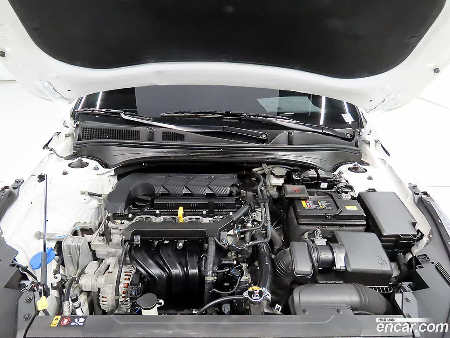 K3 Kia 2022.6-OPTION-023
