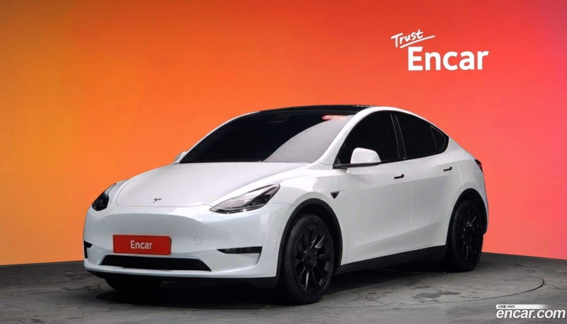 Main__Slider__Photo:Model Y Tesla 2024.2-0