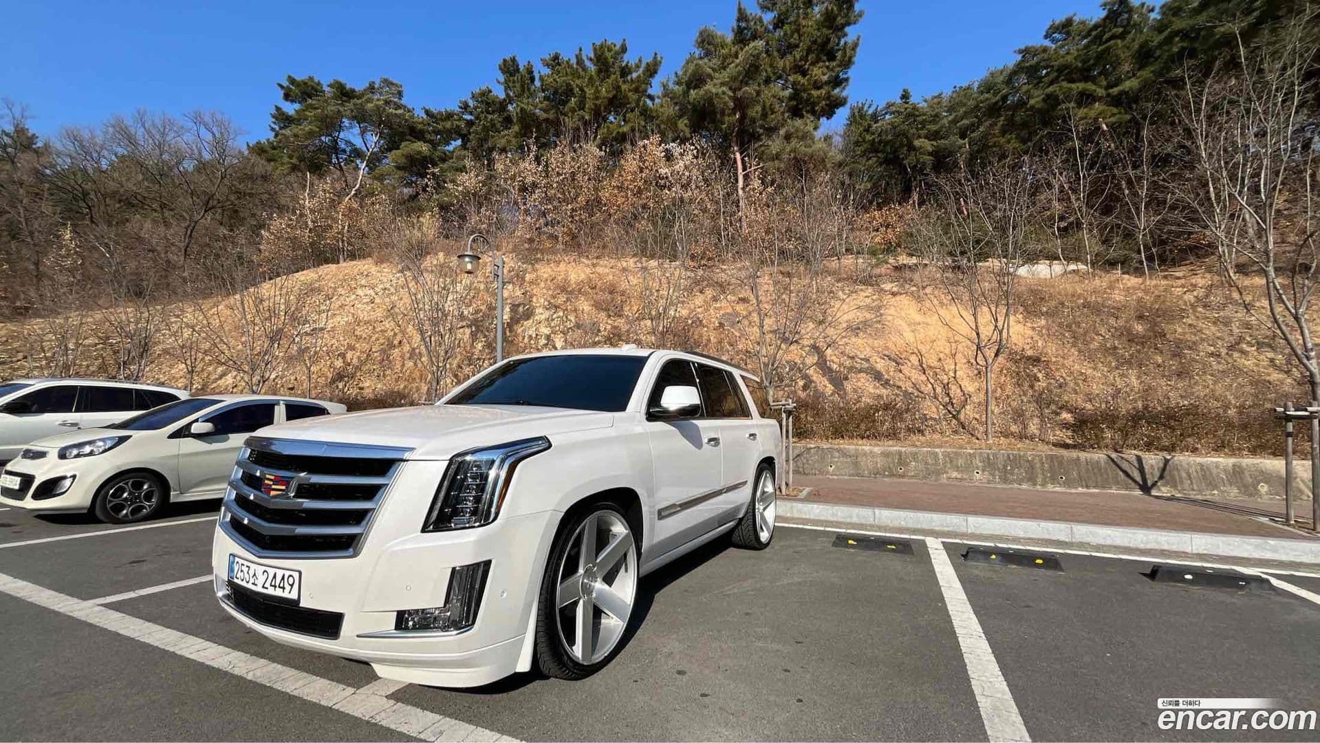 Main__Slider__Photo:Escalade Cadillac 2017.5-0