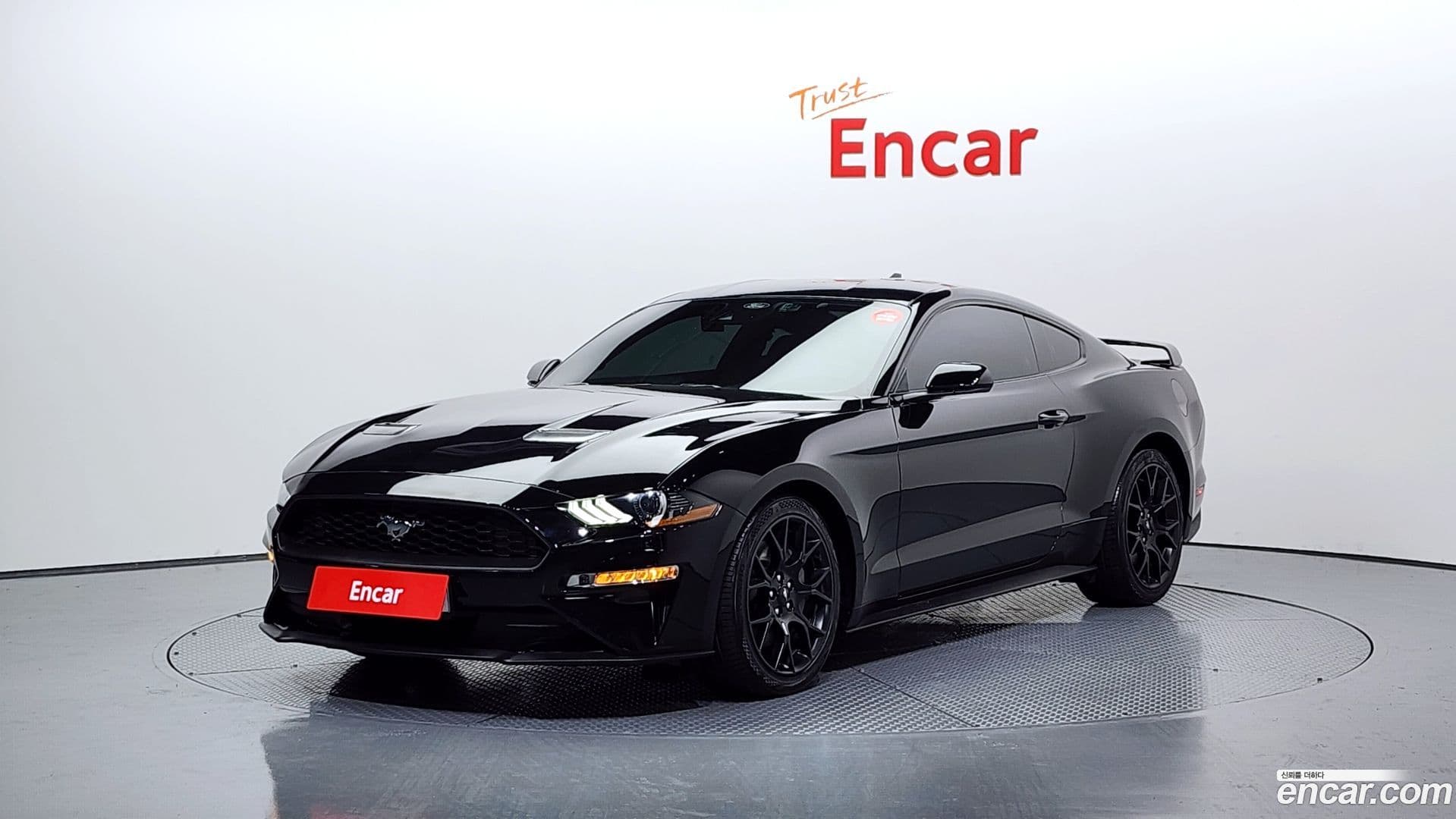 Main__Slider__Photo:Mustang Ford 2022.7-0