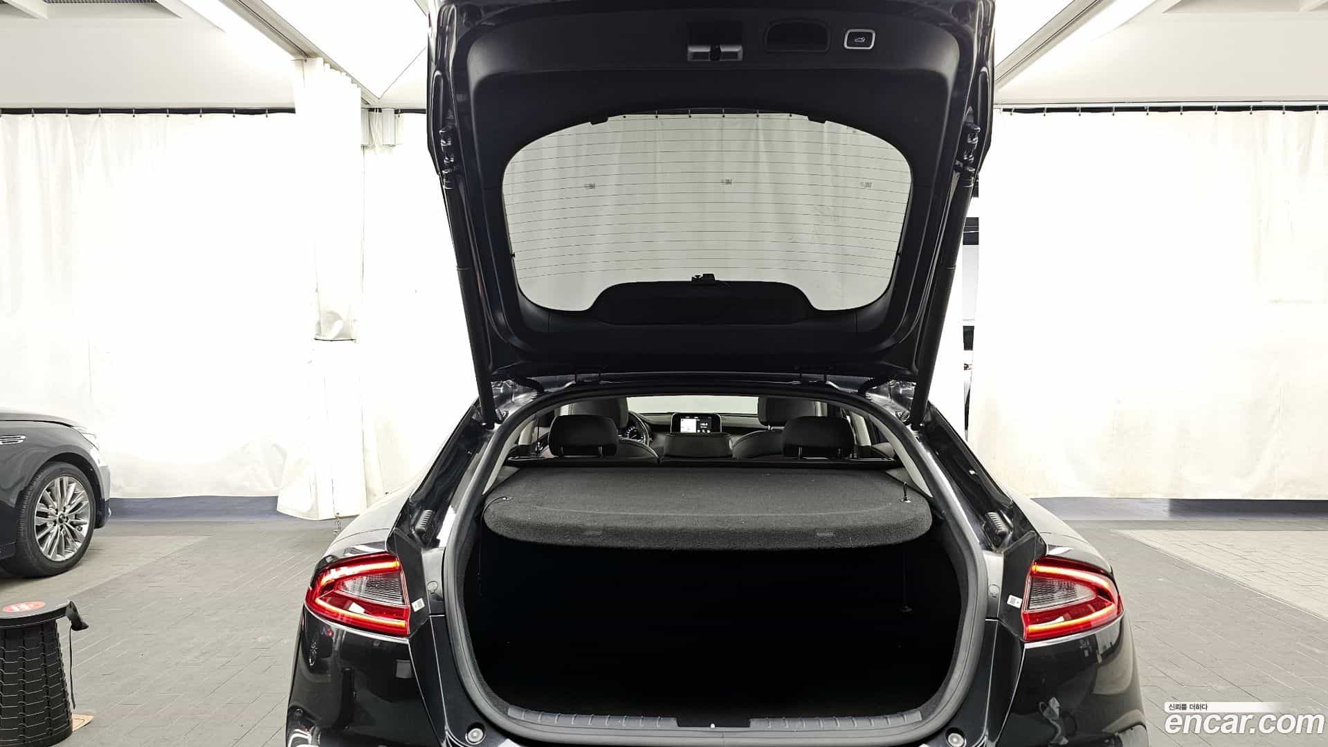 Stinger Kia 2018.1-OPTION-024