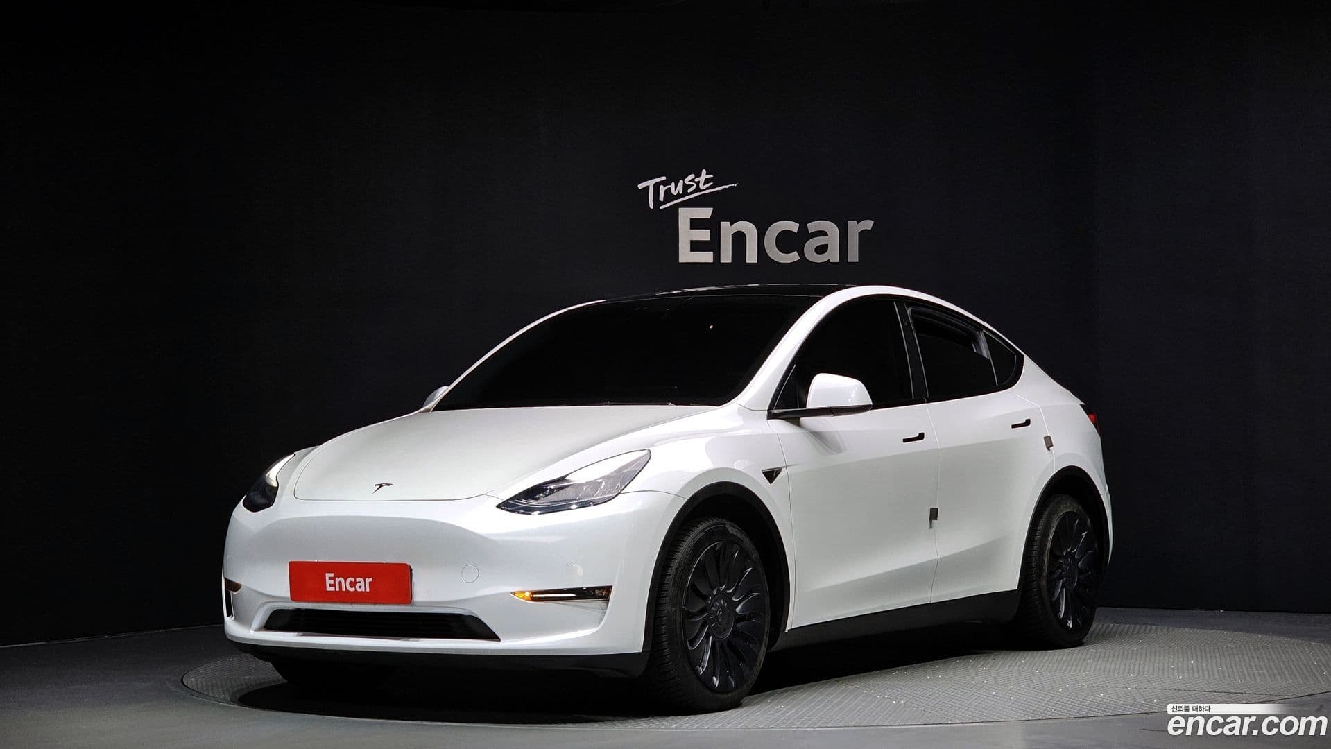 Main__Slider__Photo:Model Y Tesla 2021.5-0