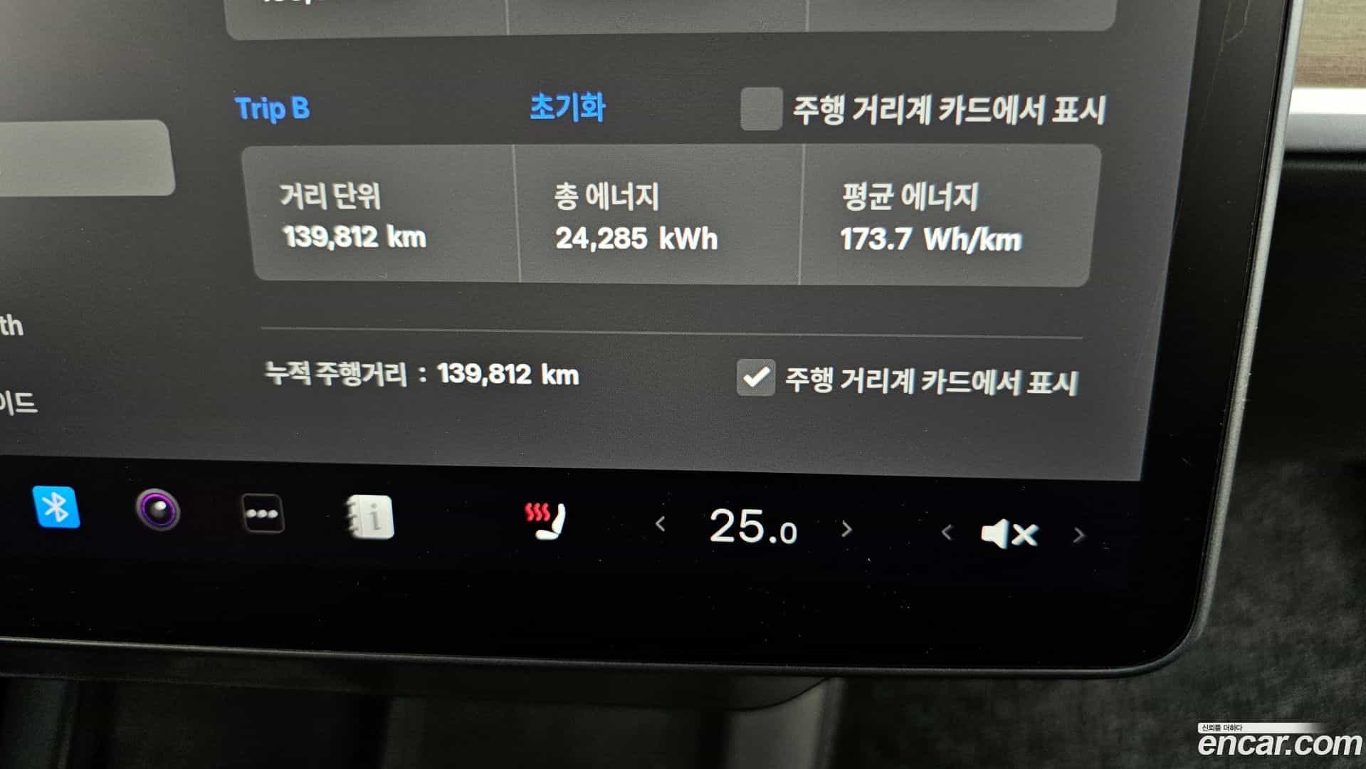 Model Y Tesla 2021.5-INNER-008