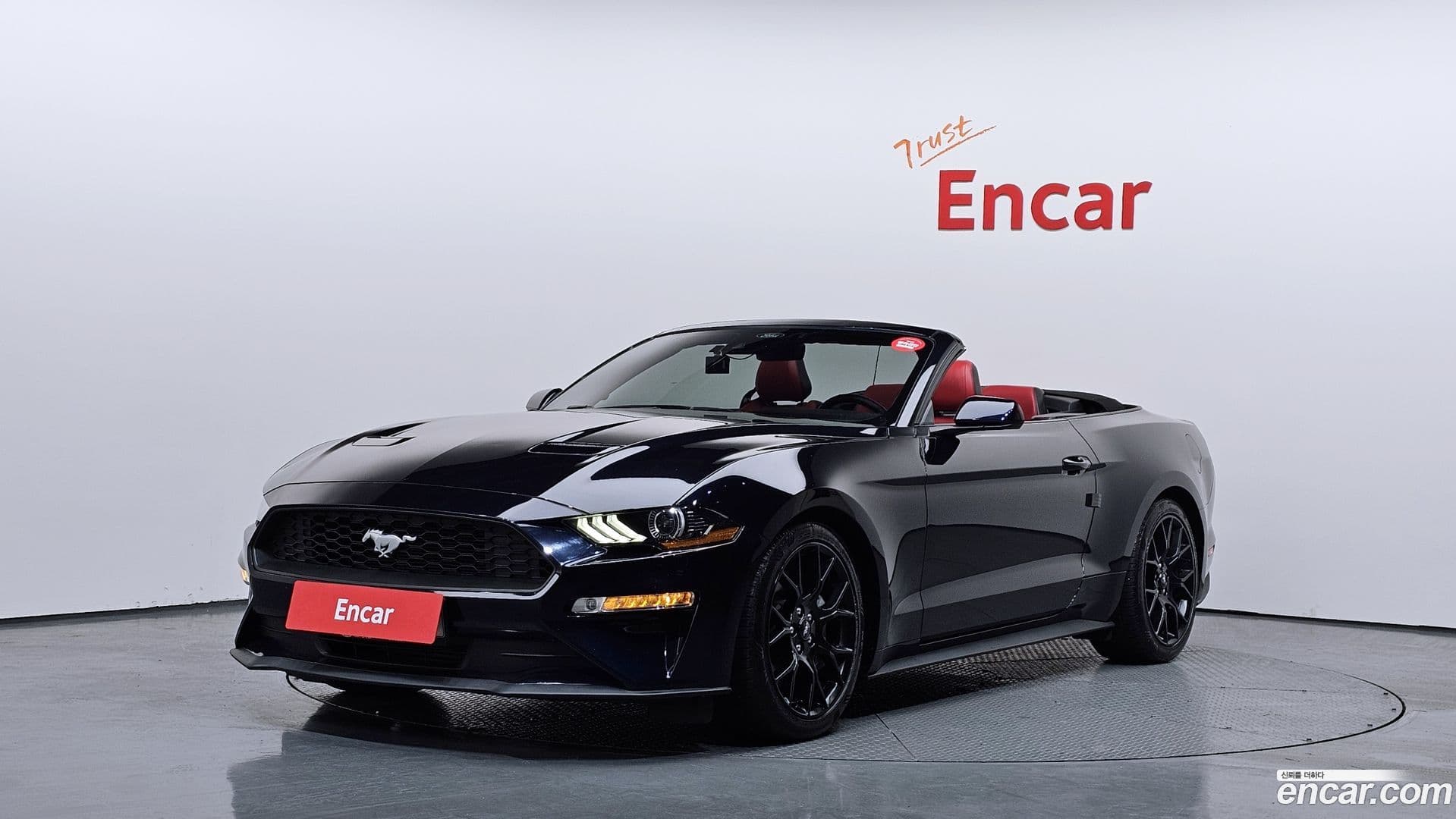 Main__Slider__Photo:Mustang Ford 2021.5-0