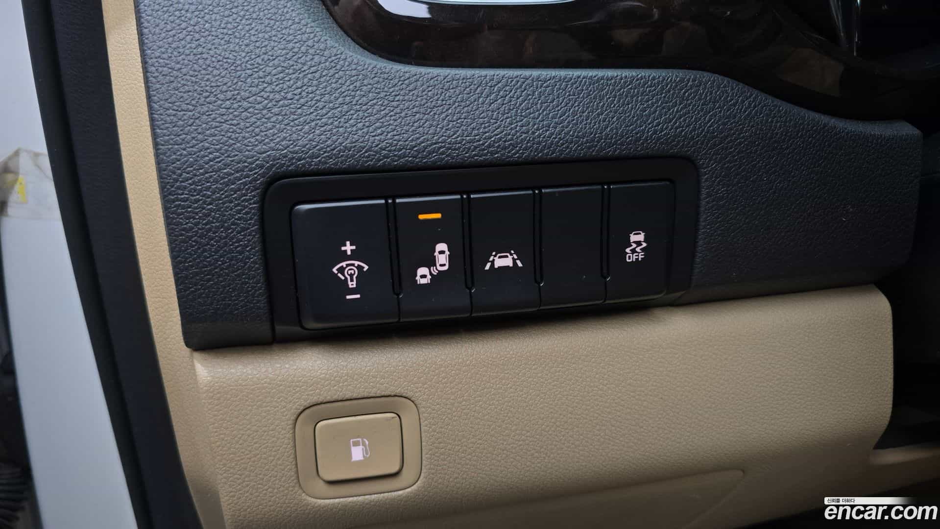 Canival Kia 2019.1-OPTION-021