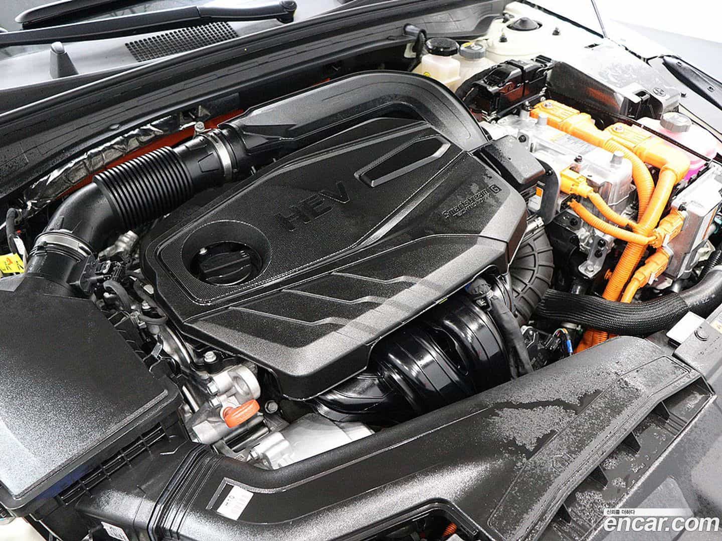 K5 Kia 2023.8-OPTION-023