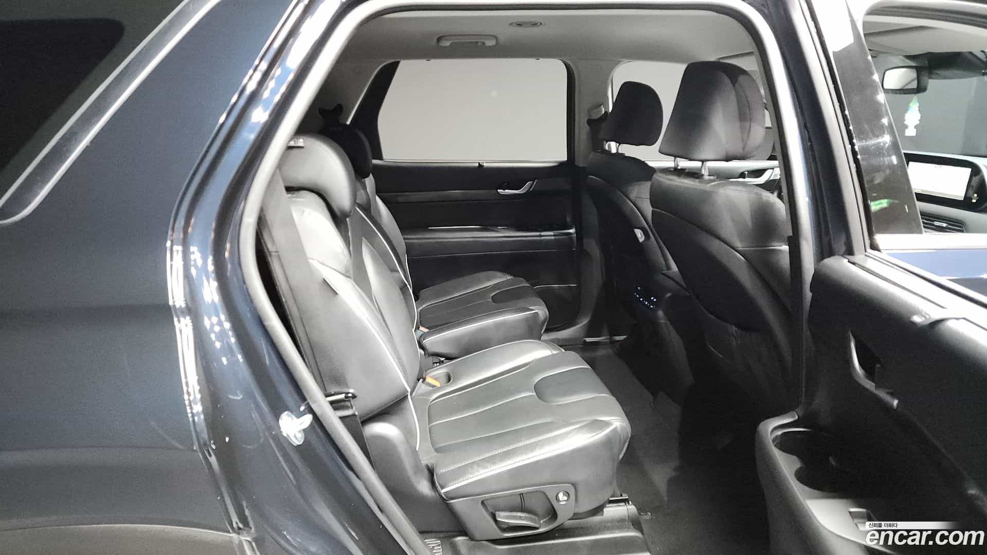 Palisade Hyundai 2019.3-OPTION-016