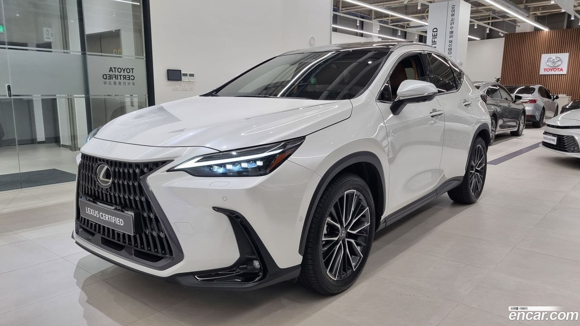 Main__Slider__Photo:NX Lexus 2024.11-0