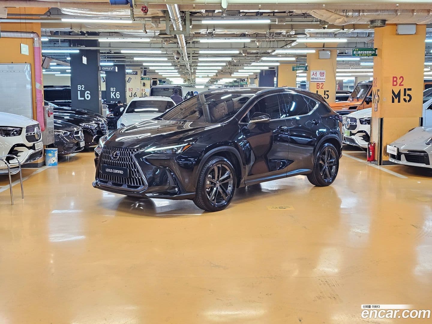 Main__Slider__Photo:NX Lexus 2025.5-0