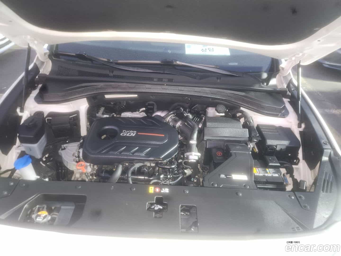 Santafe Hyundai 2019.7-OPTION-019