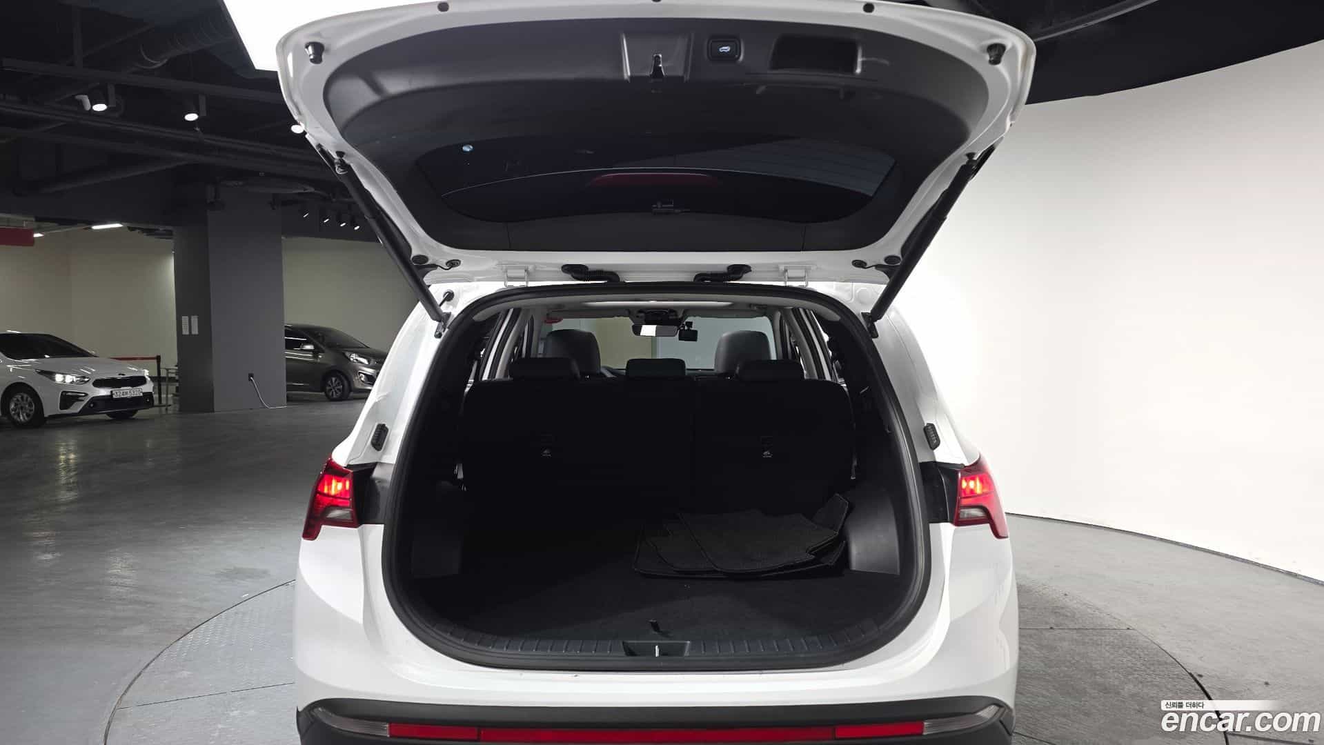 Santafe Hyundai 2022.11-OPTION-024