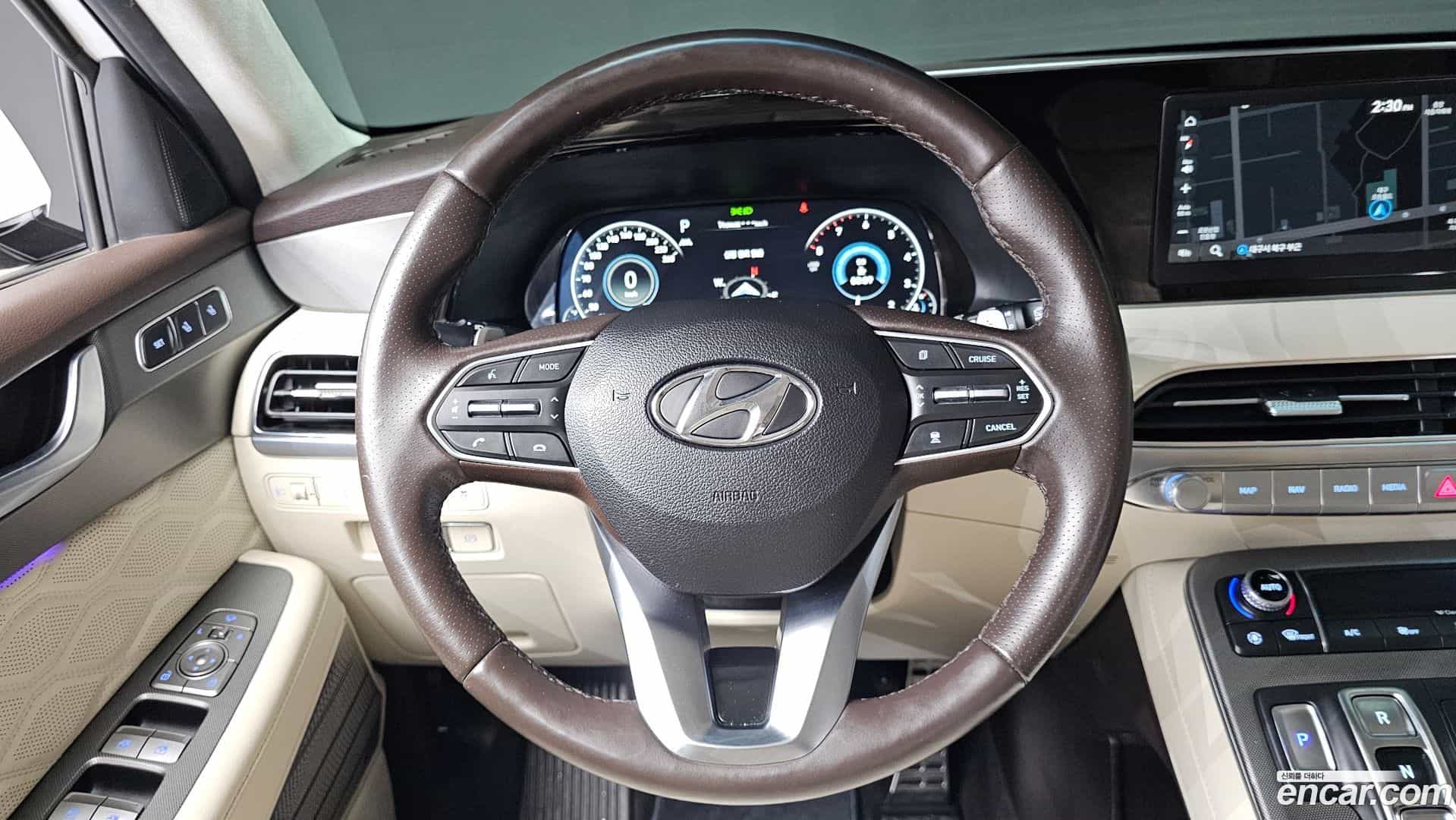 Palisade Hyundai 2021.0-OPTION-018