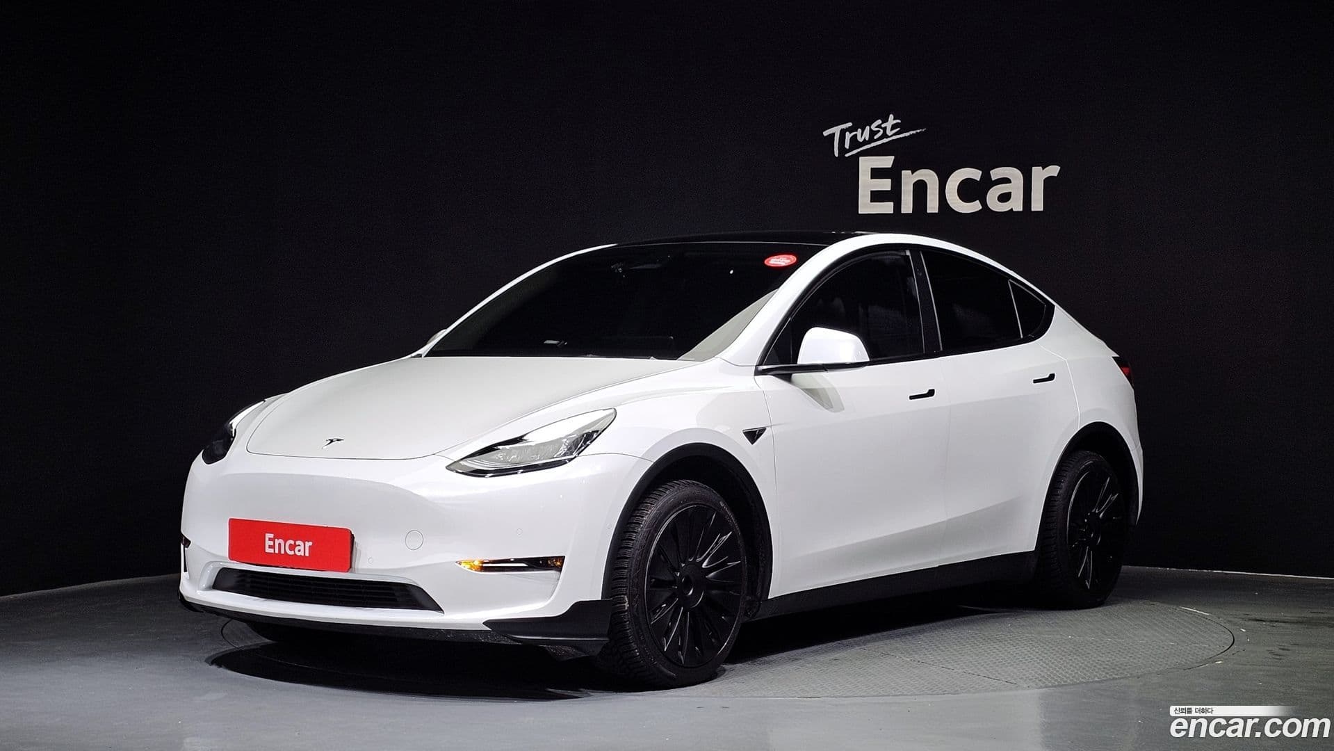 Main__Slider__Photo:Model Y Tesla 2021.10-0