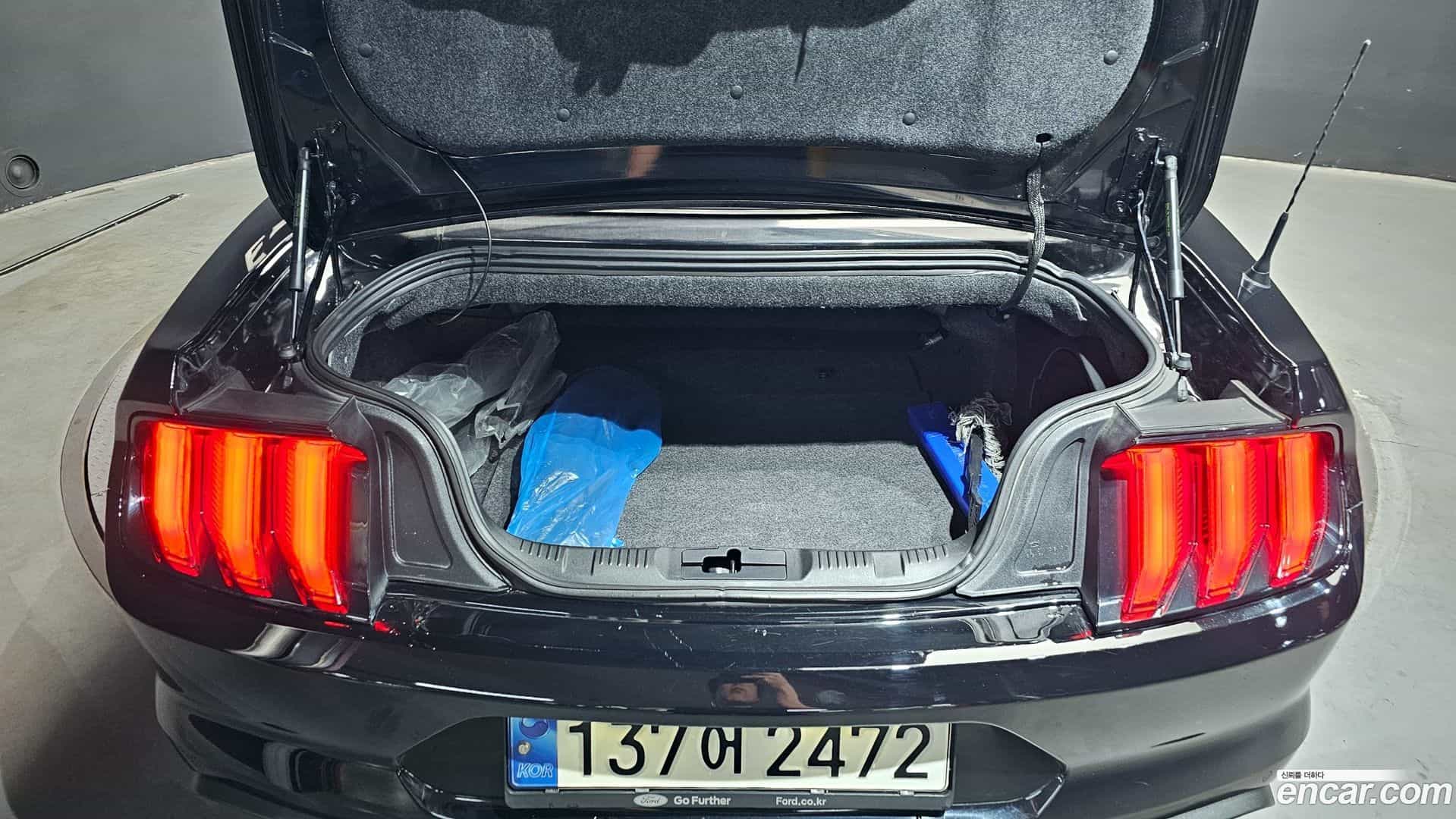 Mustang Ford 2021.5-OPTION-024