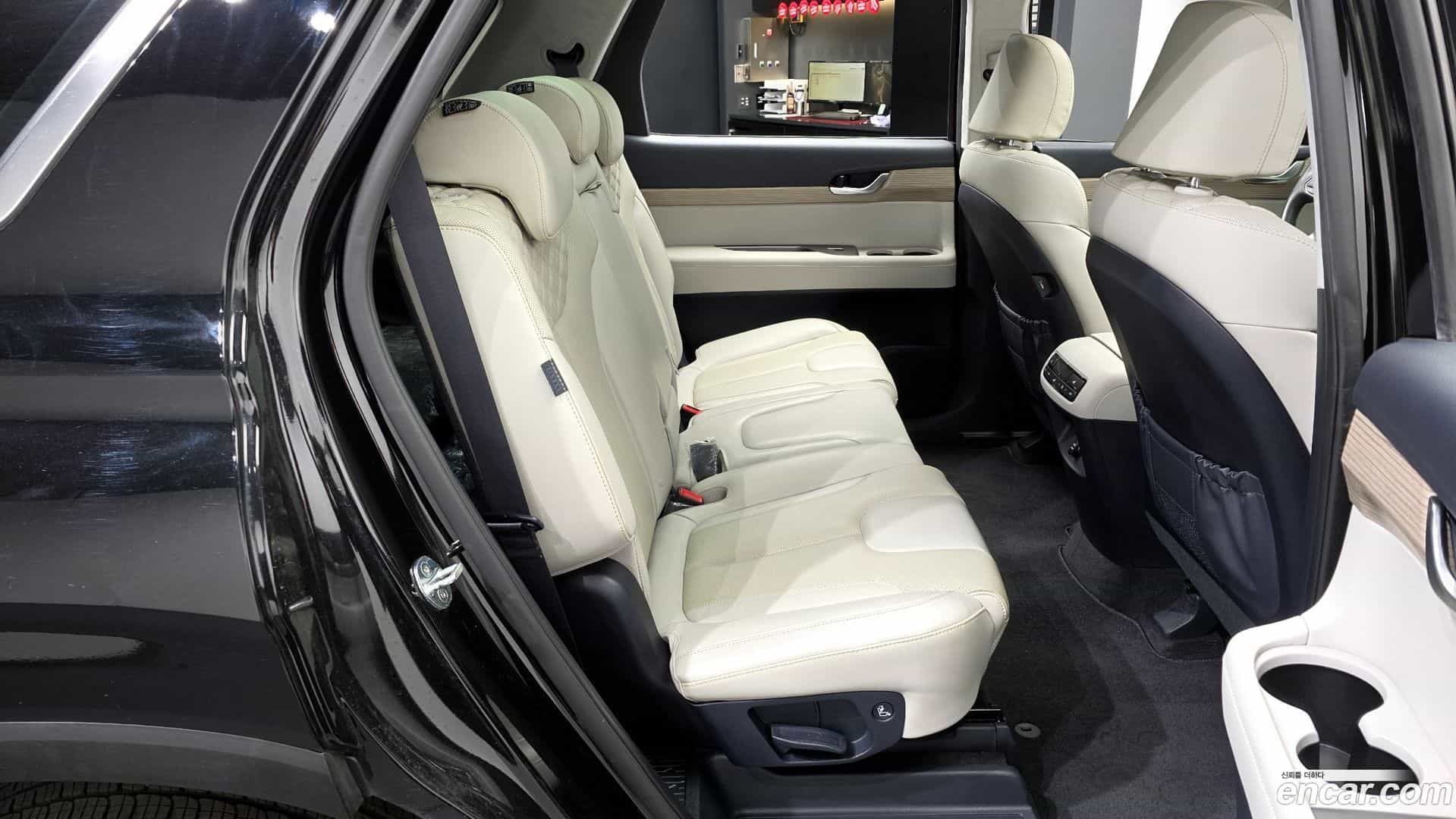 Palisade Hyundai 2021.6-OPTION-016