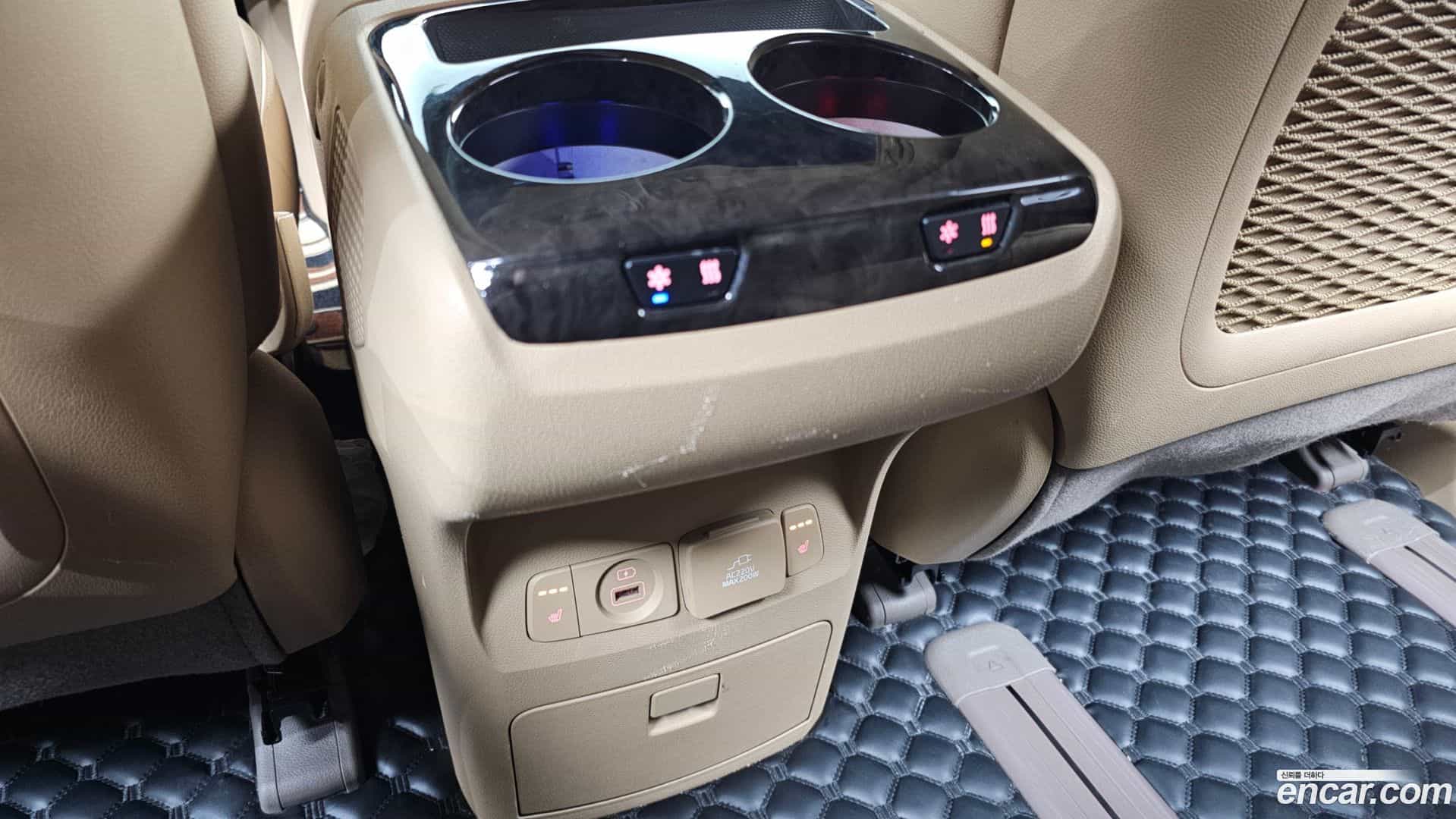 Canival Kia 2019.0-OPTION-021