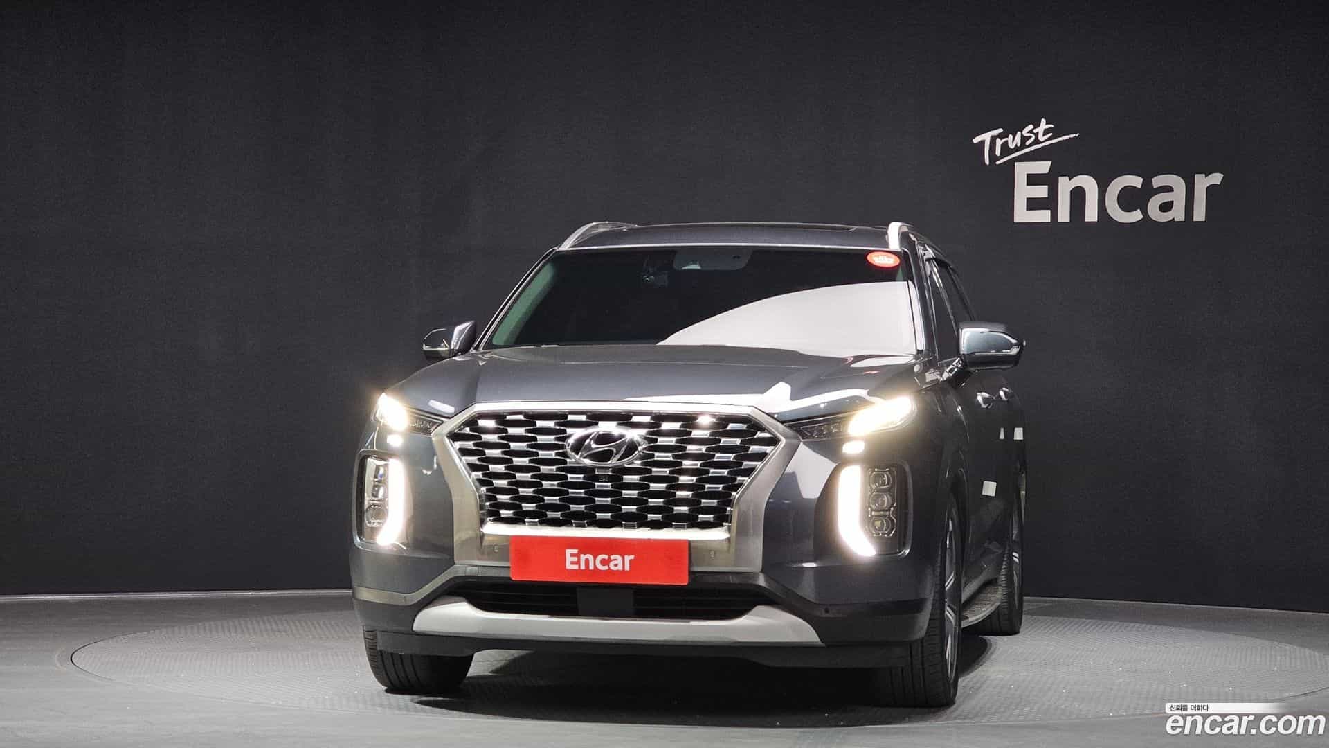 Palisade Hyundai 2019.6-OUTER-003