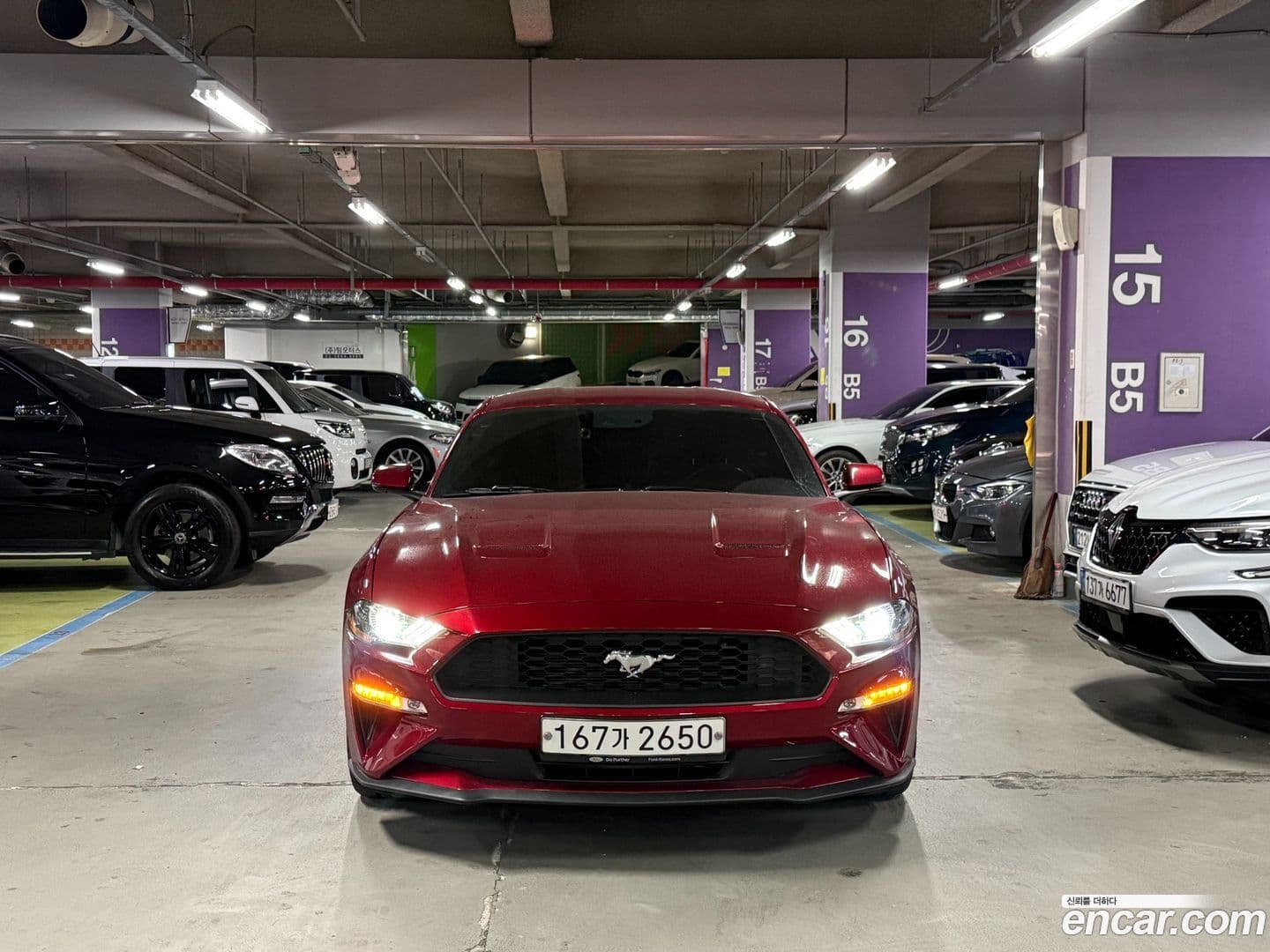 Main__Slider__Photo:Mustang Ford 2019.8-0