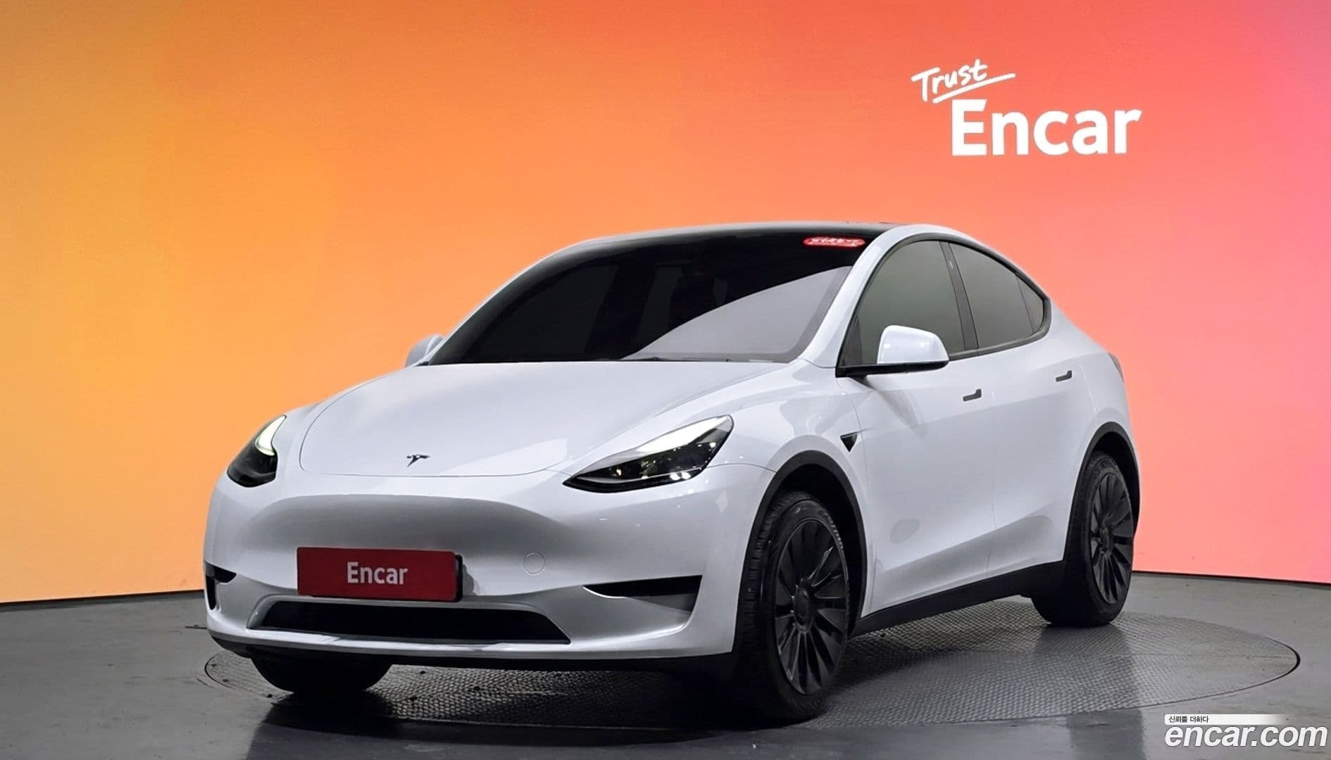Main__Slider__Photo:Model Y Tesla 2023.8-0