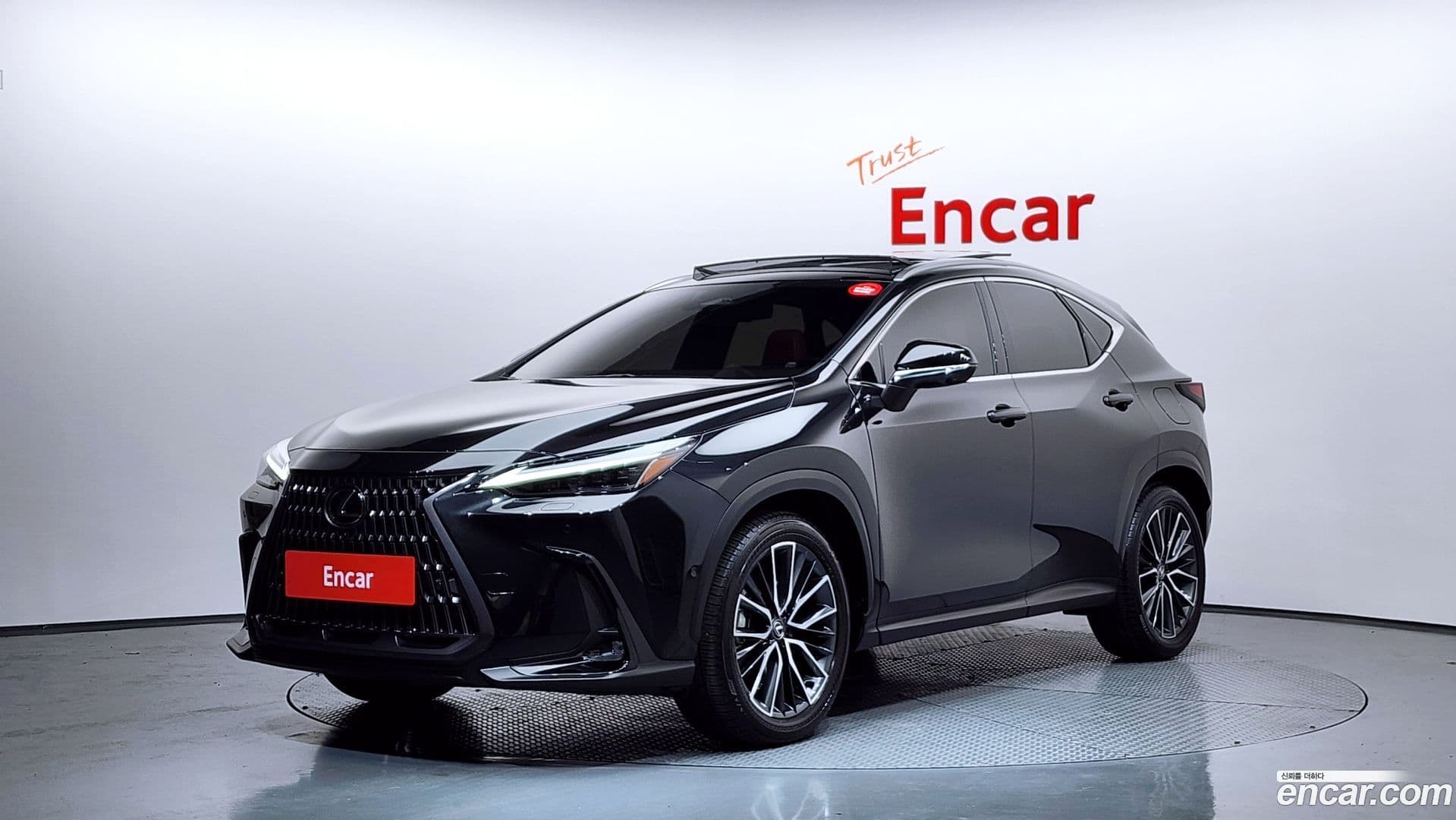 Main__Slider__Photo:NX Lexus 2024.4-0