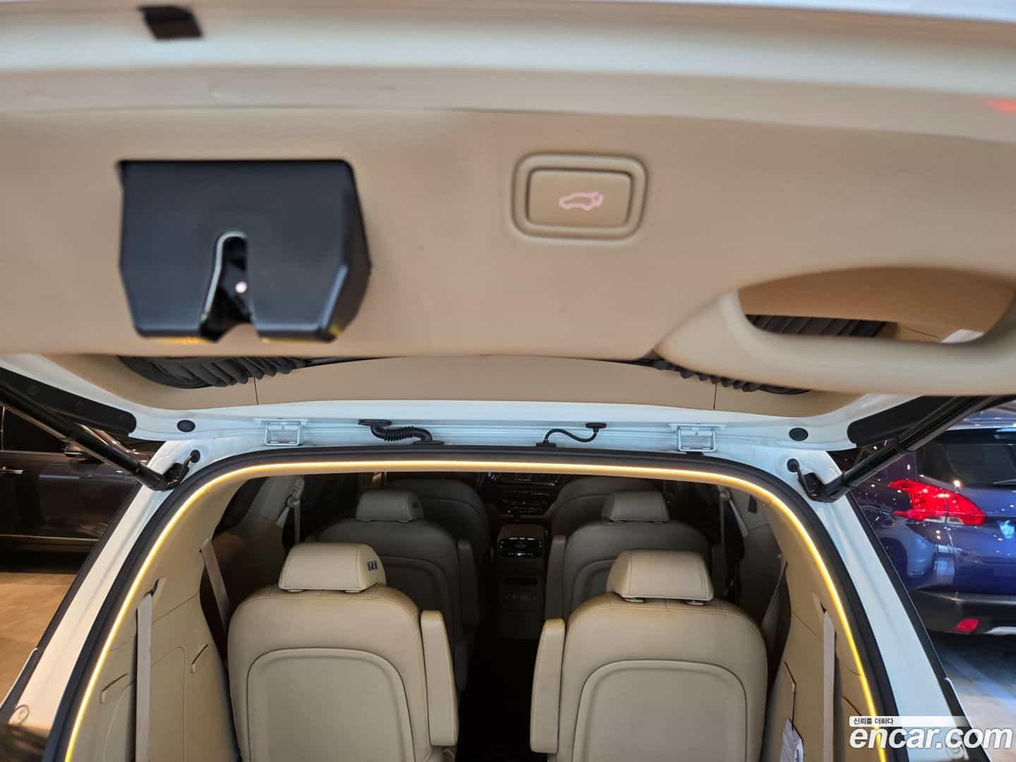 Canival Kia 2019.0-OPTION-024