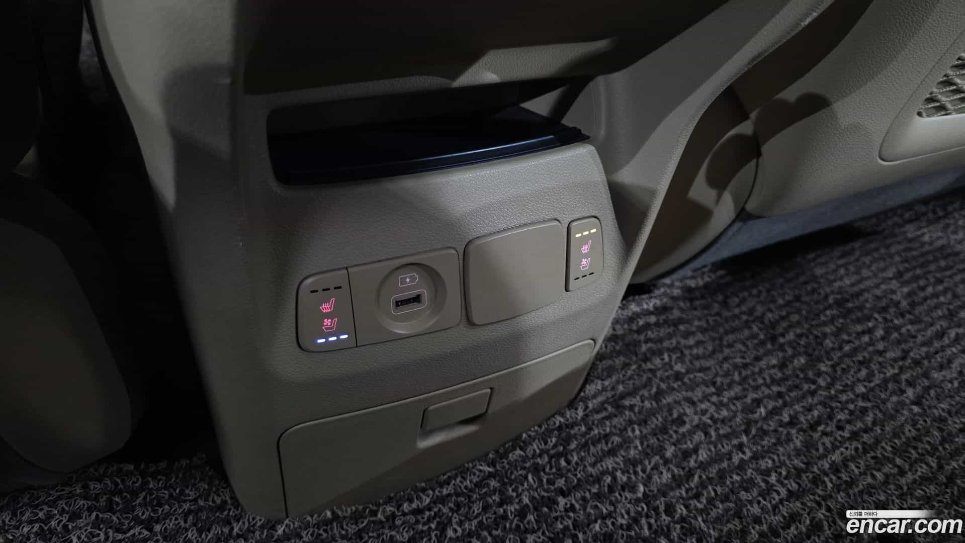 Canival Kia 2019.9-OPTION-023