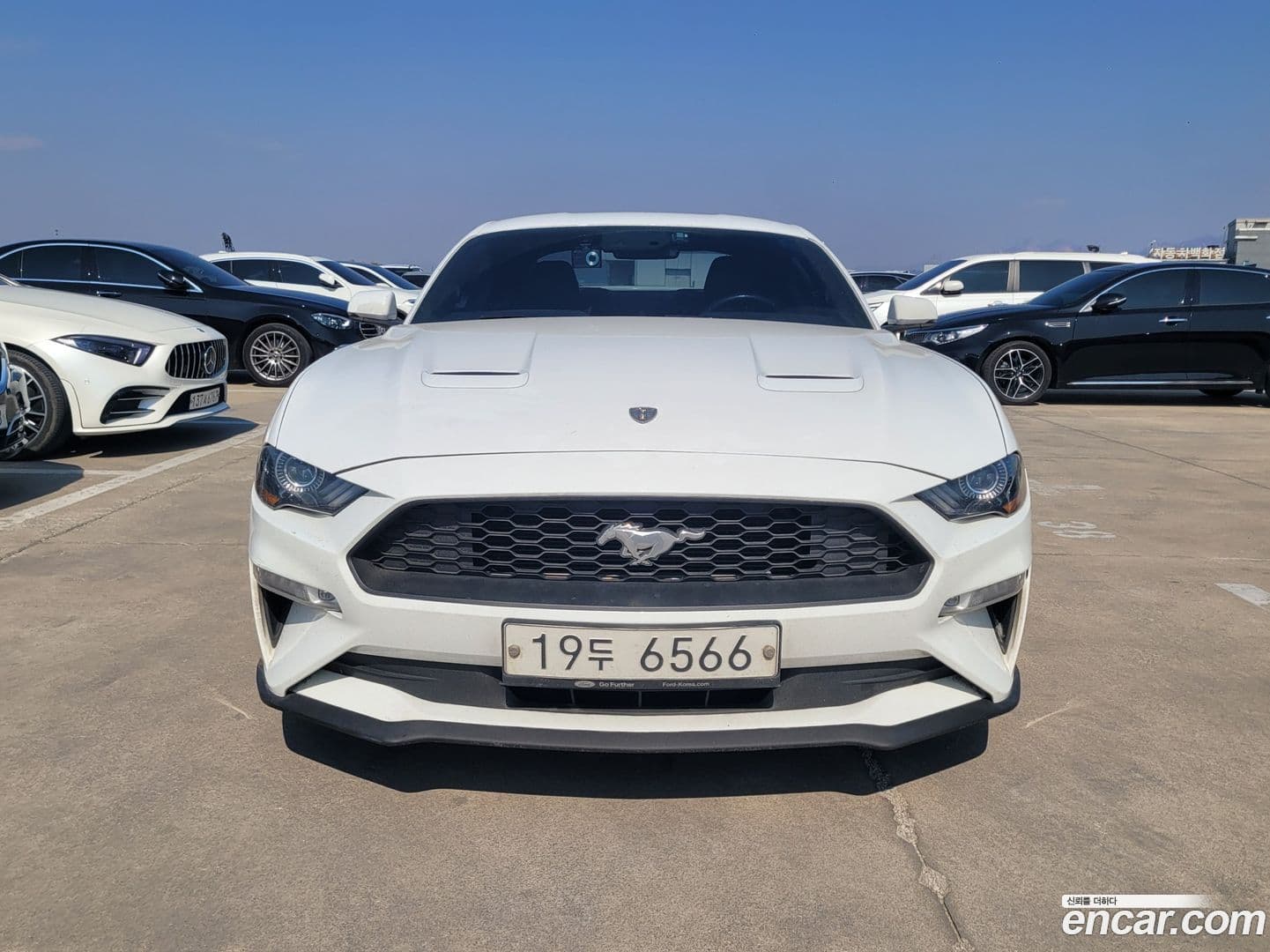 Main__Slider__Photo:Mustang Ford 2019.5-0