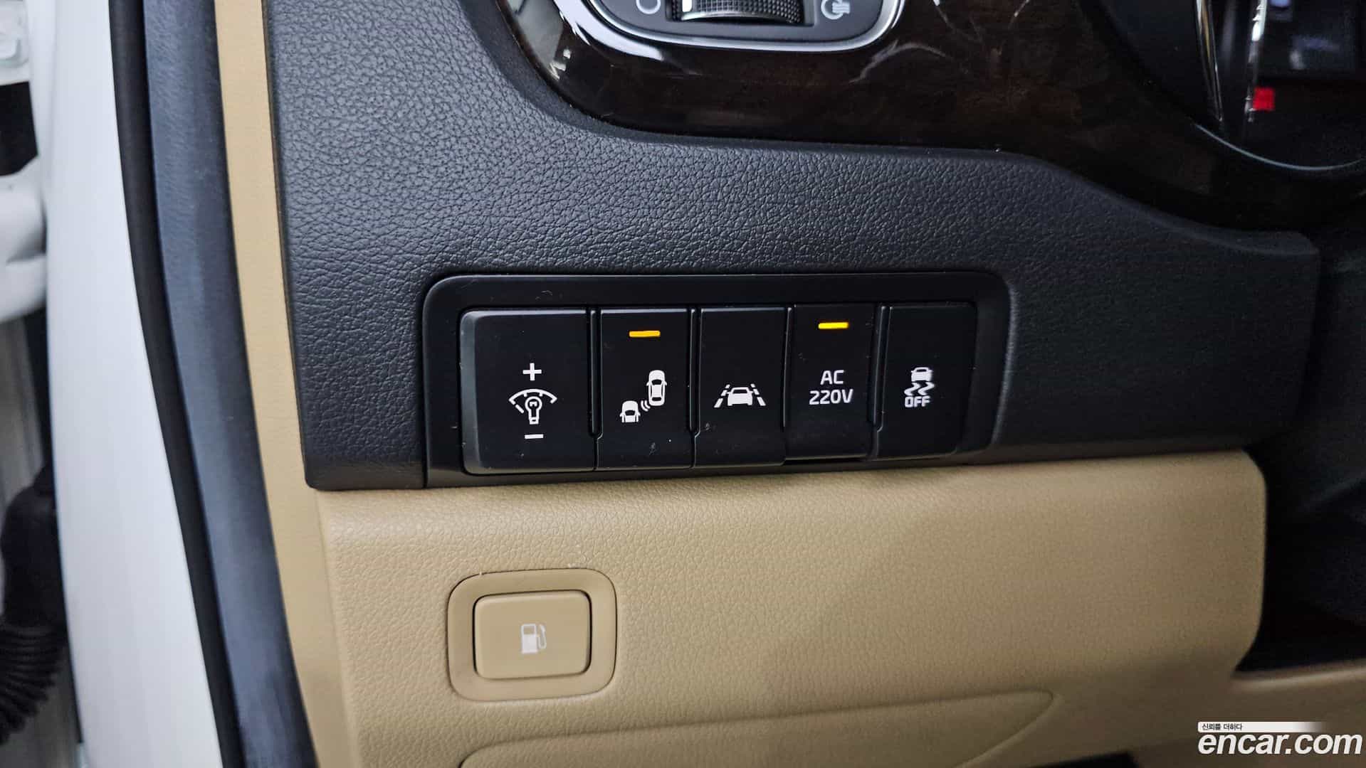 Canival Kia 2018.4-OPTION-020