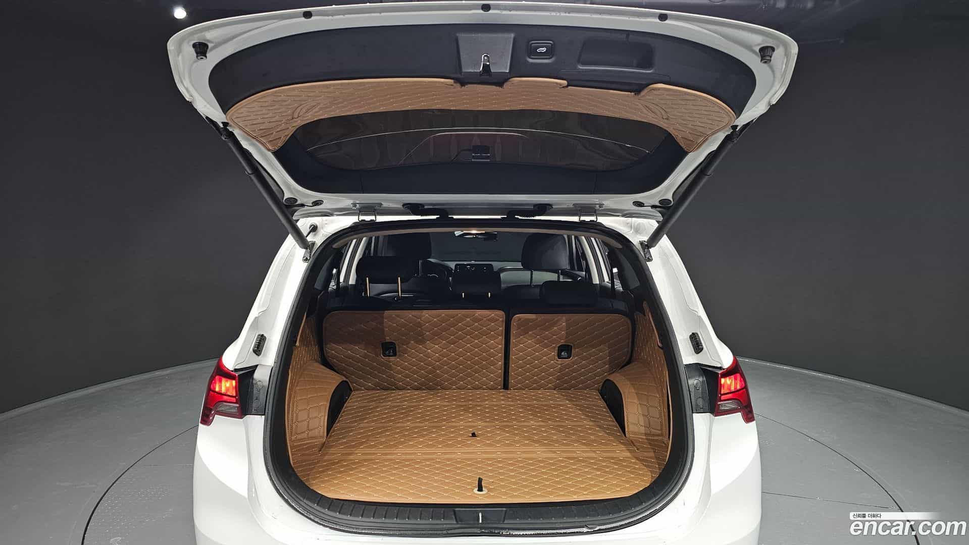 Santafe Hyundai 2021.10-OPTION-024