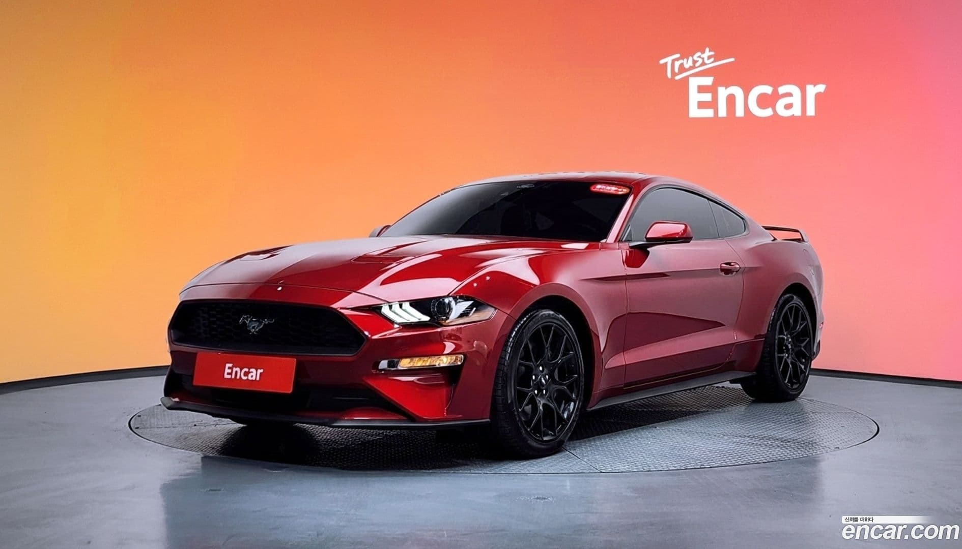 Main__Slider__Photo:Mustang Ford 2021.11-0