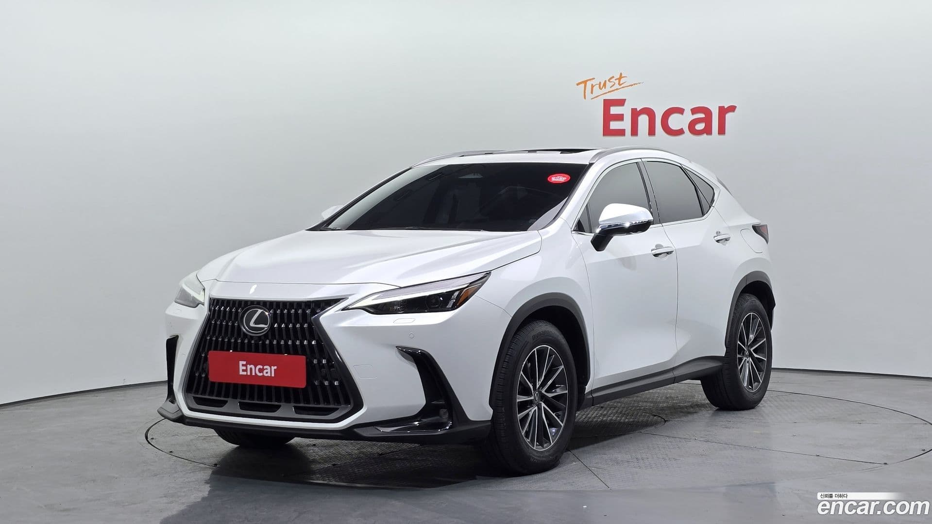 Main__Slider__Photo:NX Lexus 2023.4-0