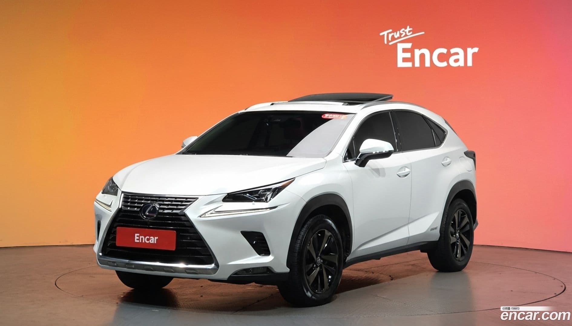 Main__Slider__Photo:NX Lexus 2019.1-0
